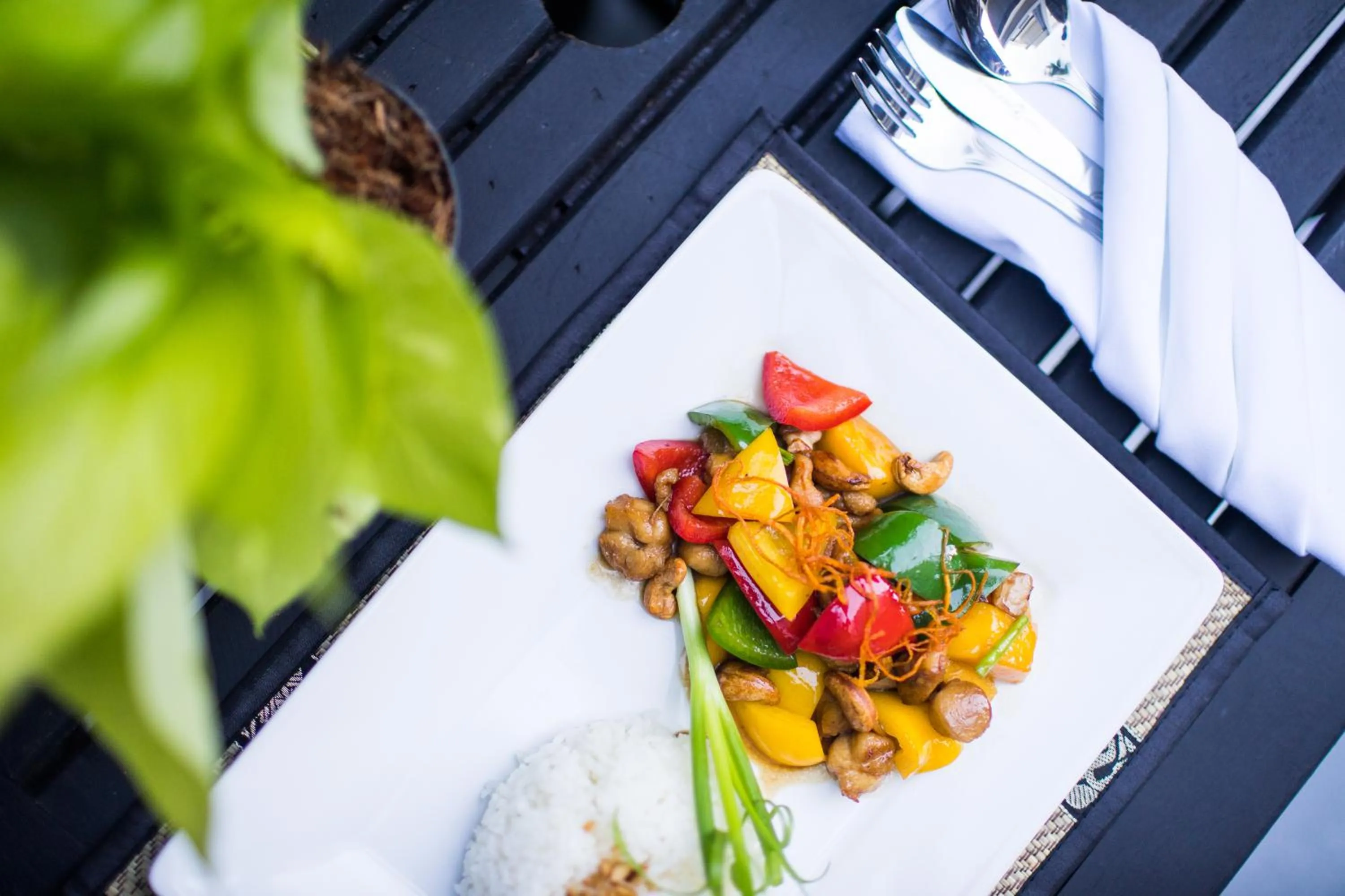 Drinks in Noni Tree Hostel