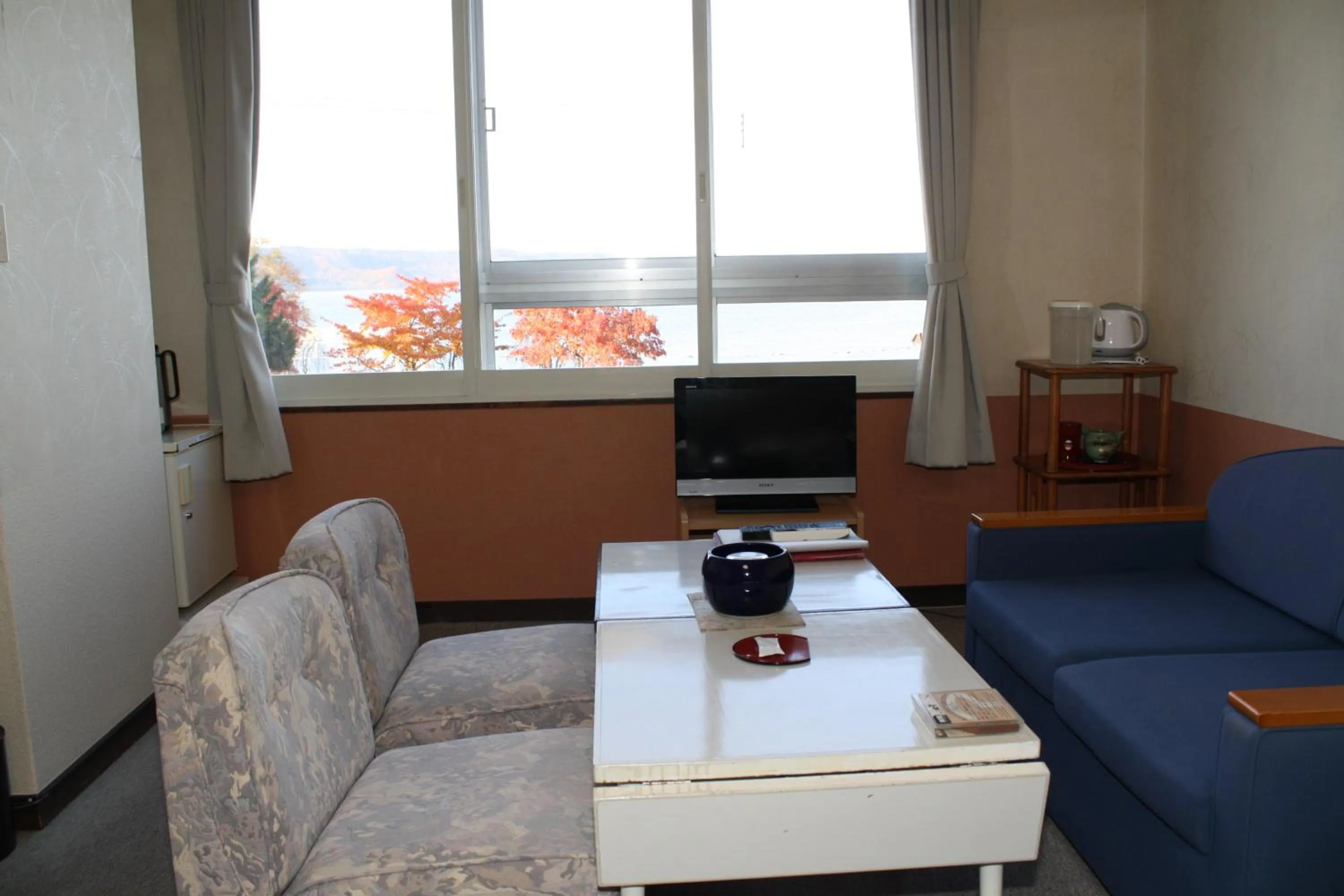 Lake view in Hotel Grand Toya