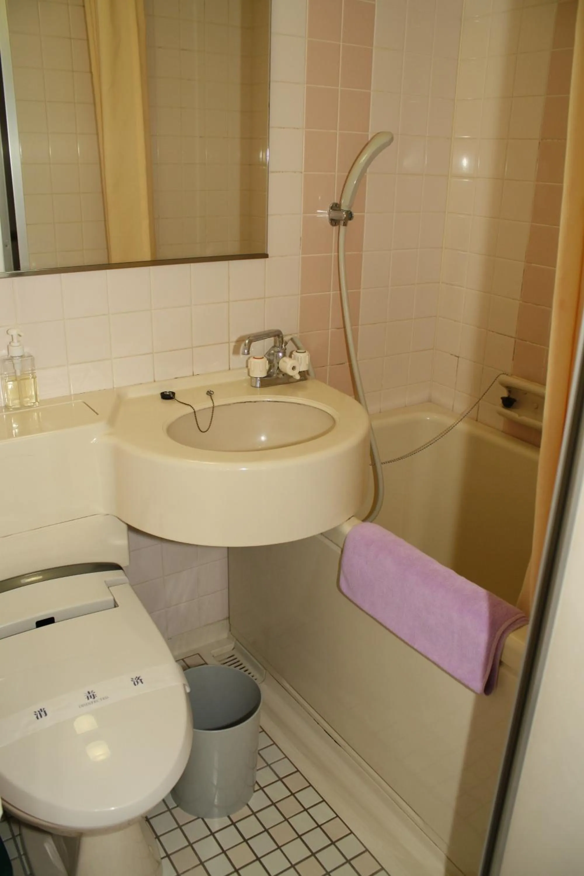 Bathroom in Hotel Grand Toya