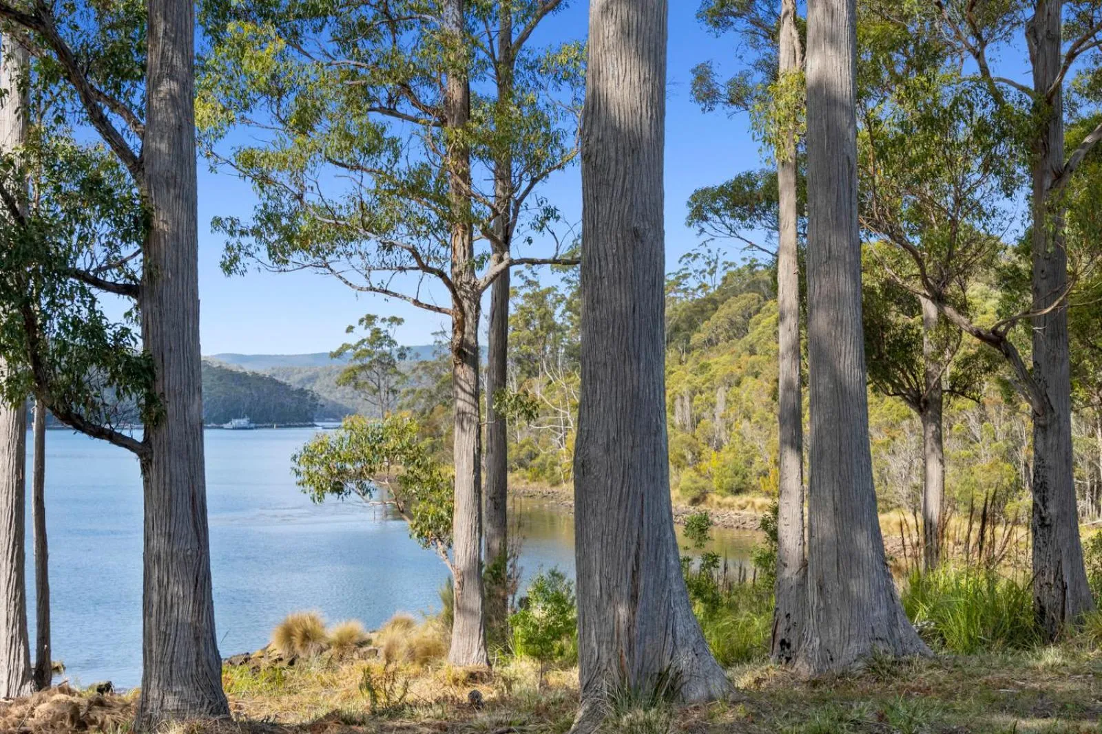 Lake view in The Fox and Hounds Historic Hotel