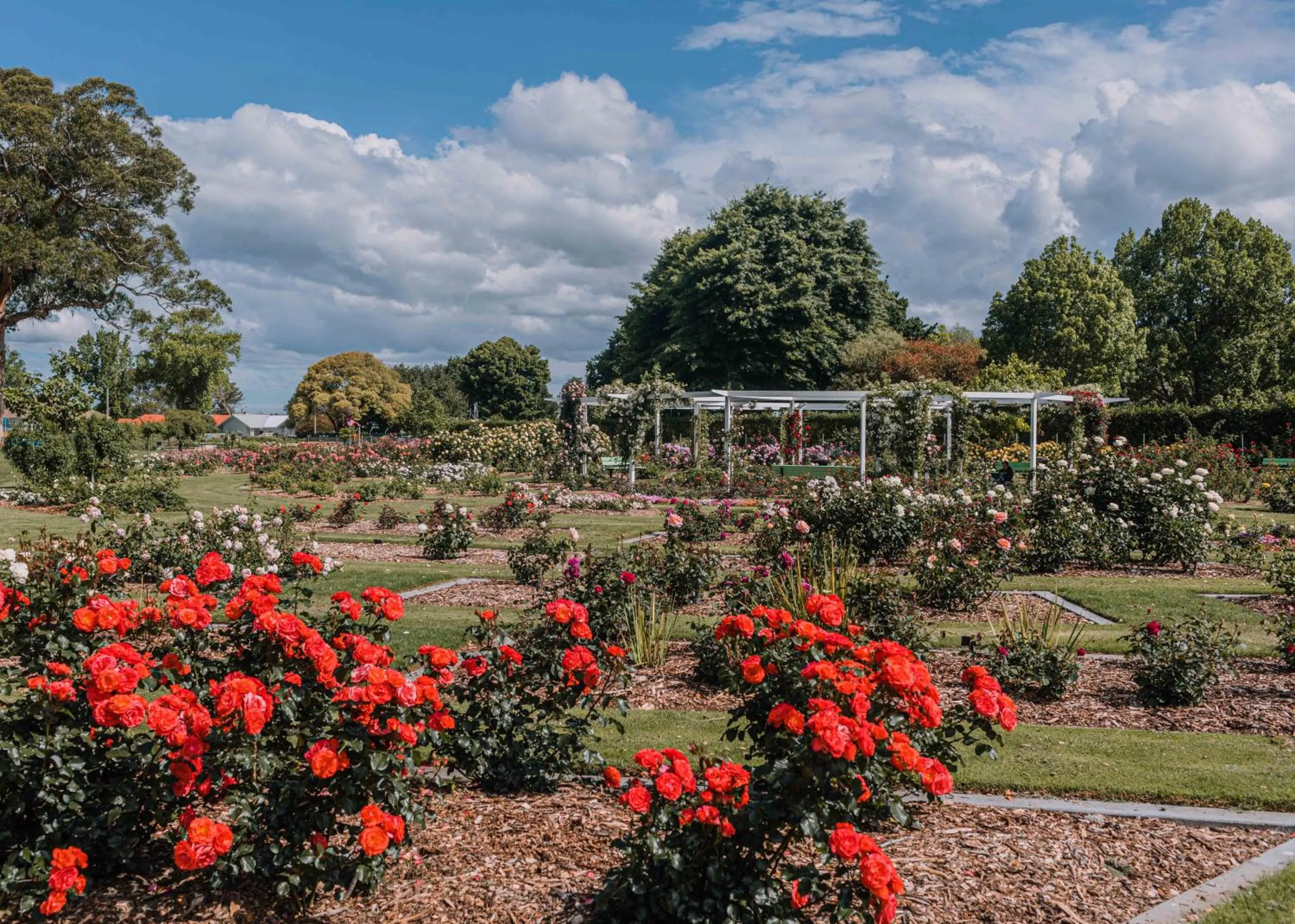 Area and facilities in Kennedy Park Resort Napier