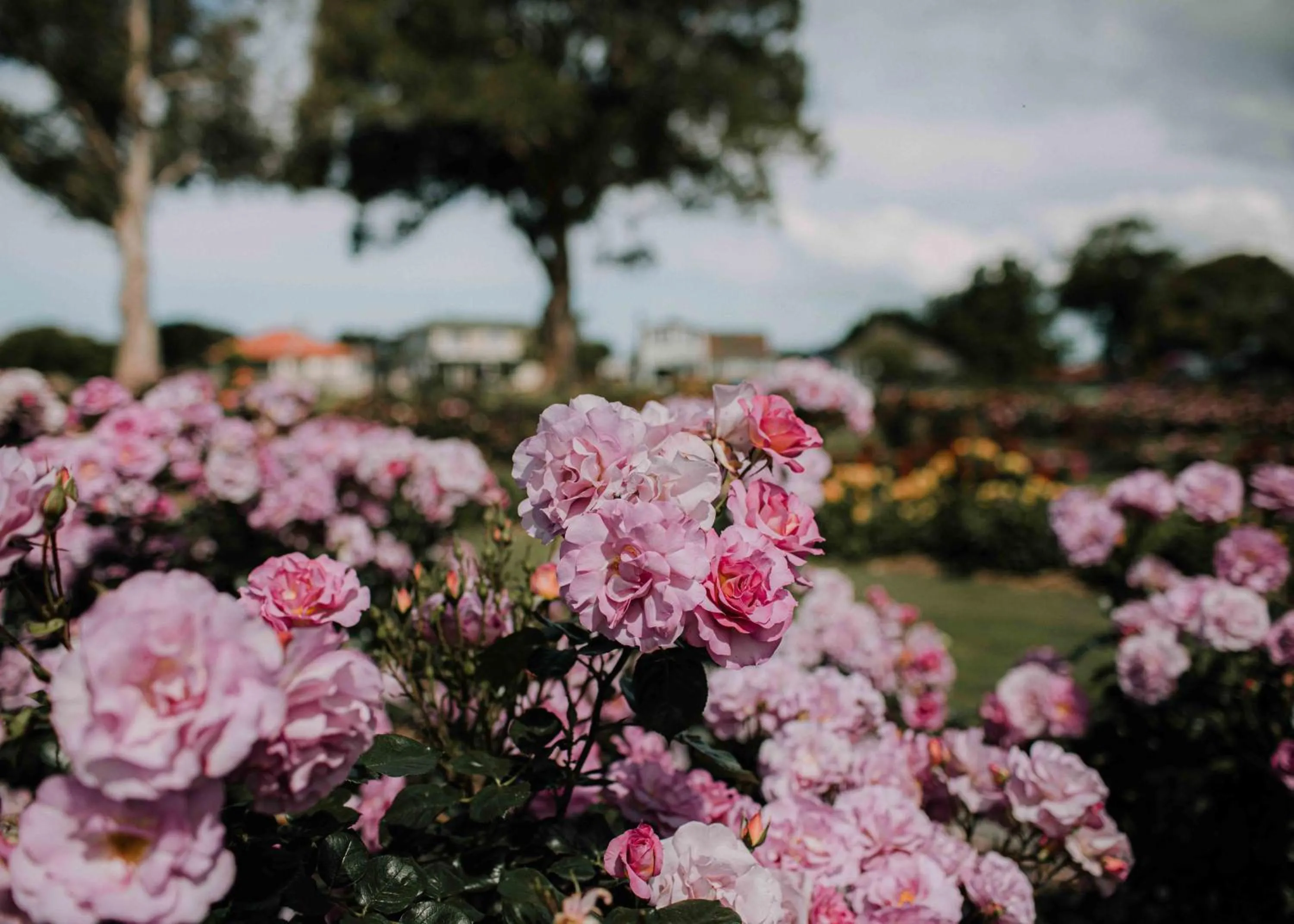 Area and facilities in Kennedy Park Resort Napier