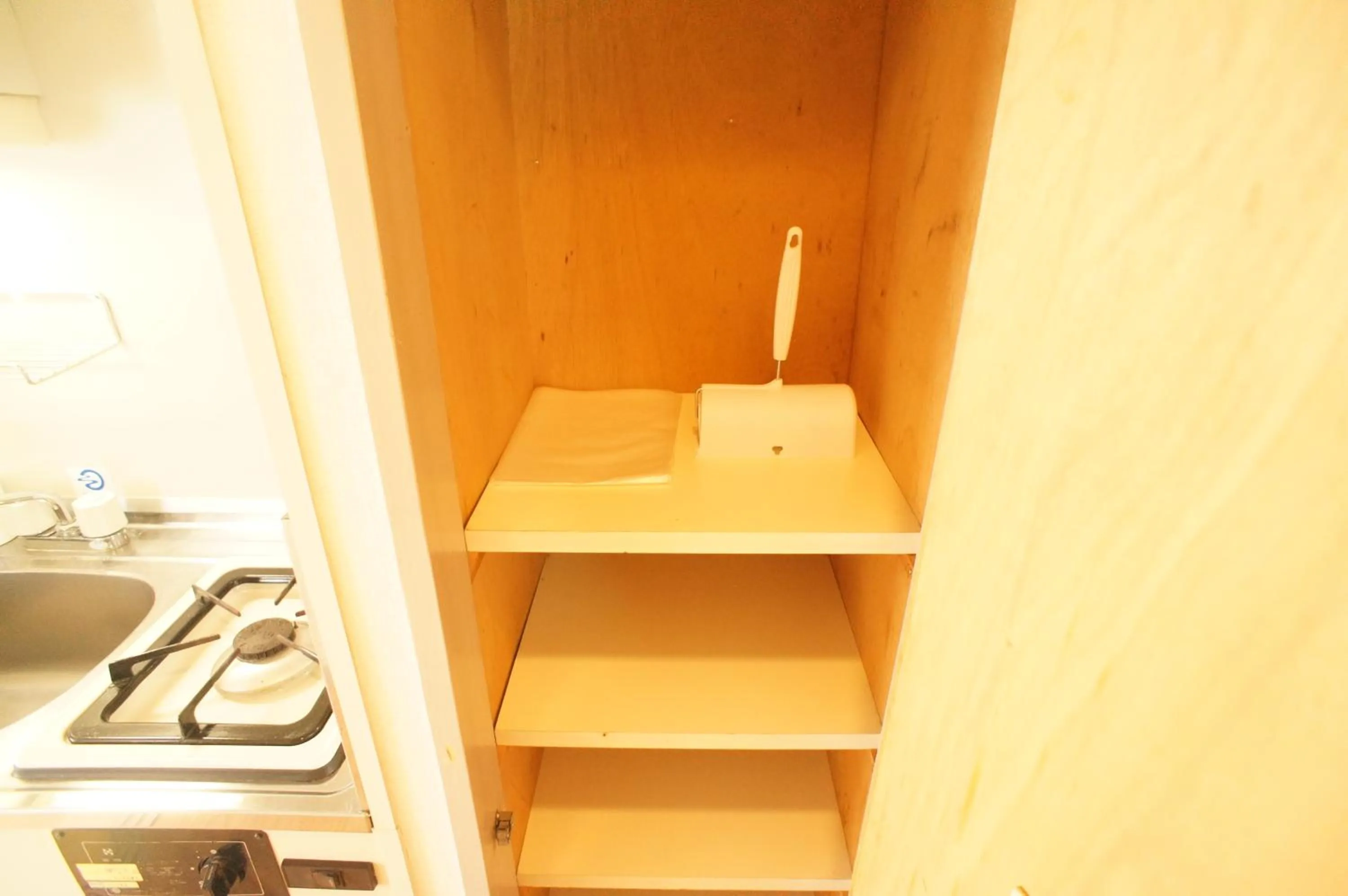 Photo of the whole room in Plusonefujisaki