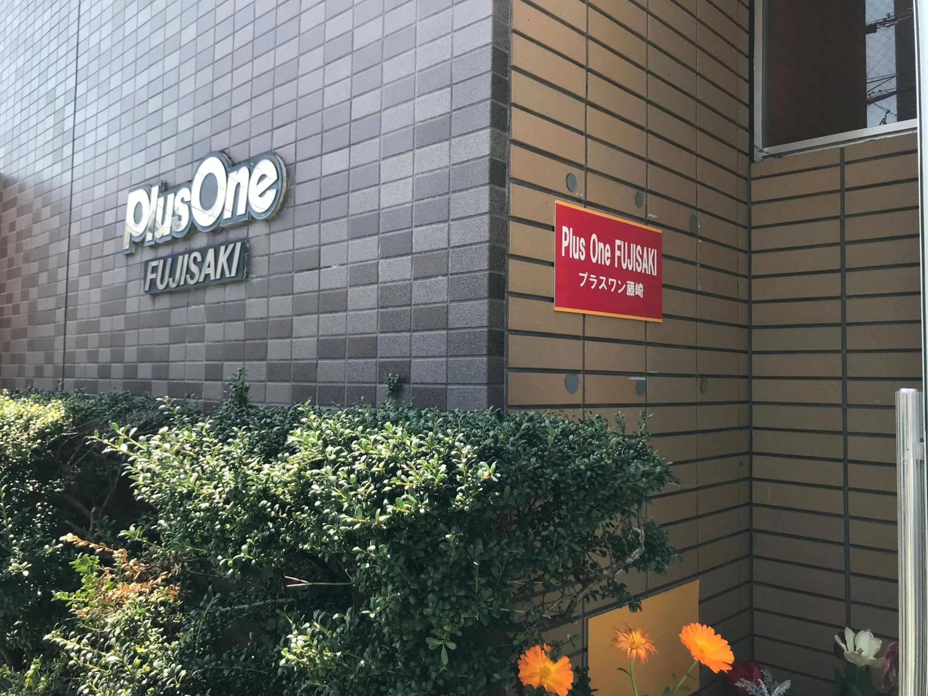 Plusonefujisaki