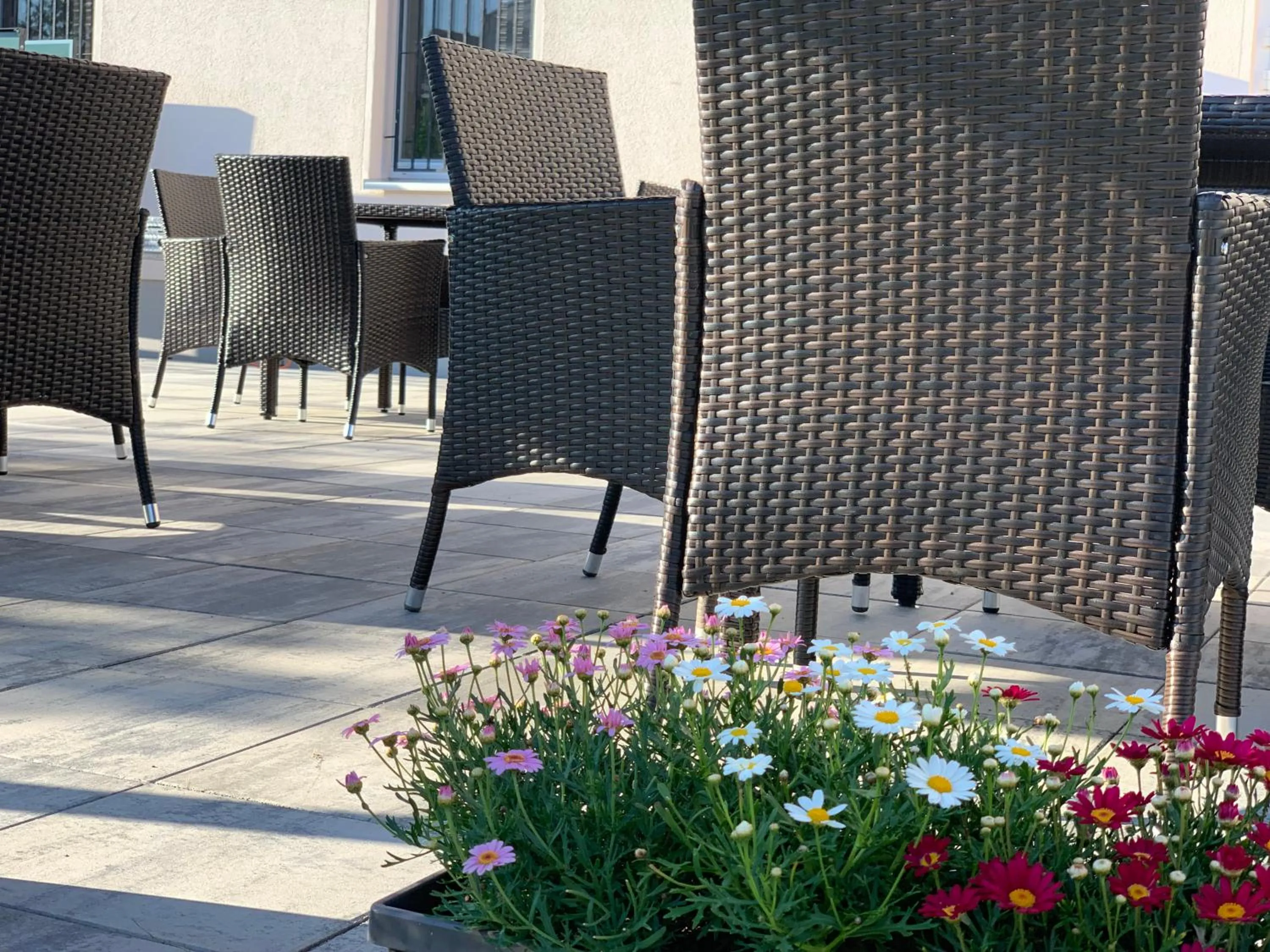 Balcony/Terrace in Hotel Bannewitz B&B