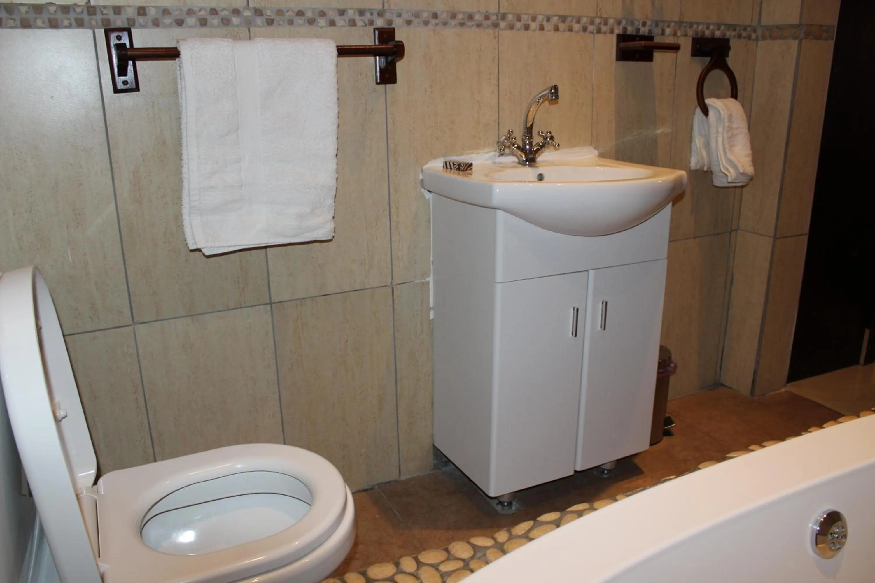 Toilet in Big Five Guest House