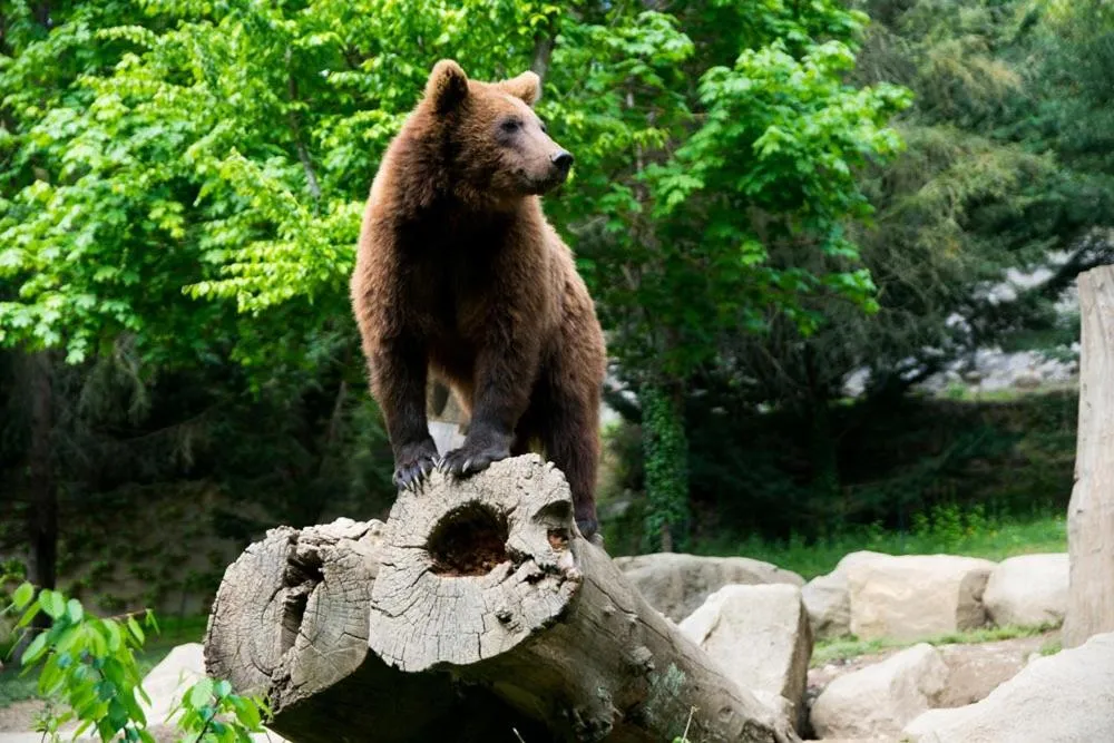 Résidence des Touristes