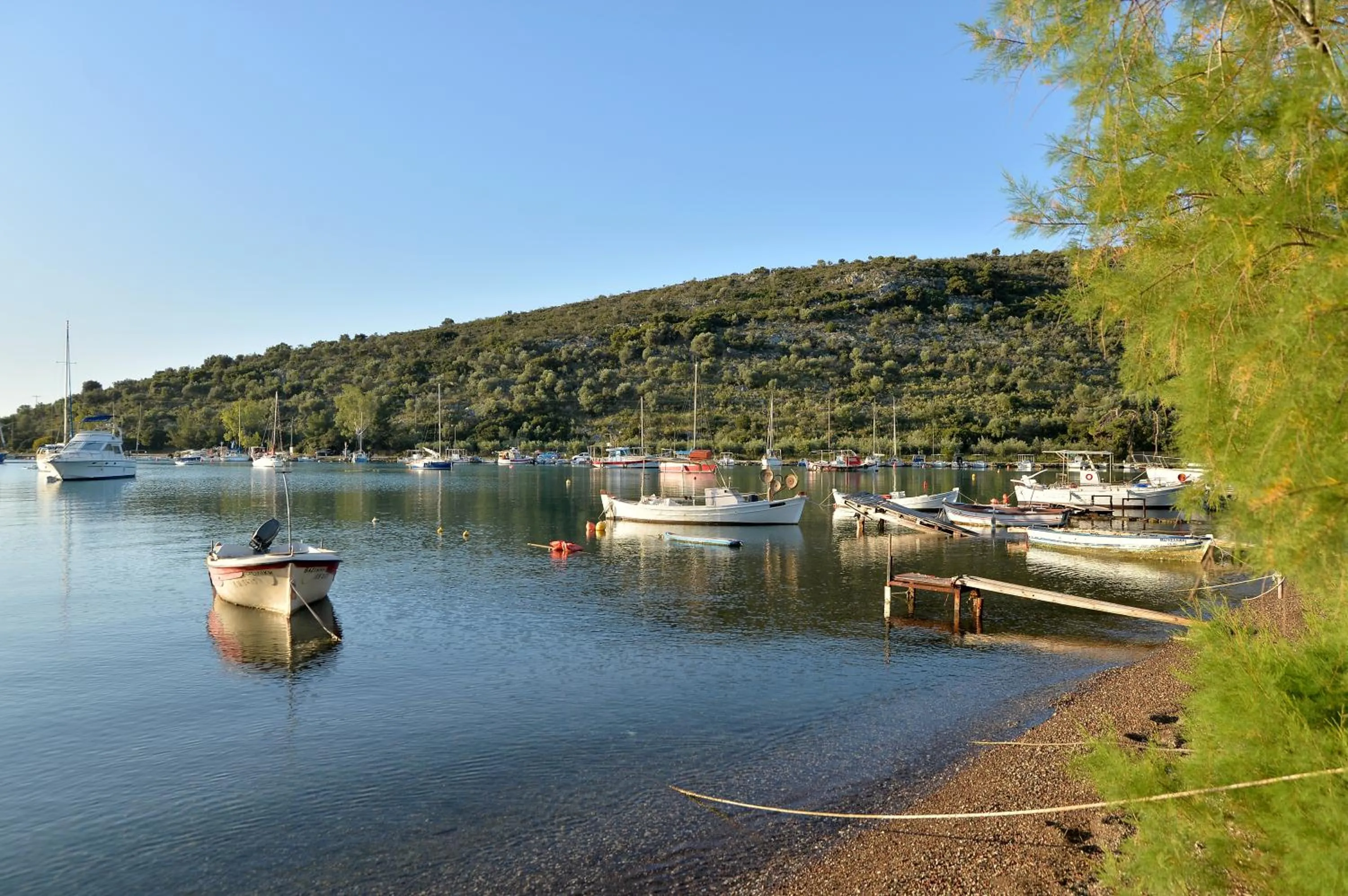 Day in ID Holiday Living