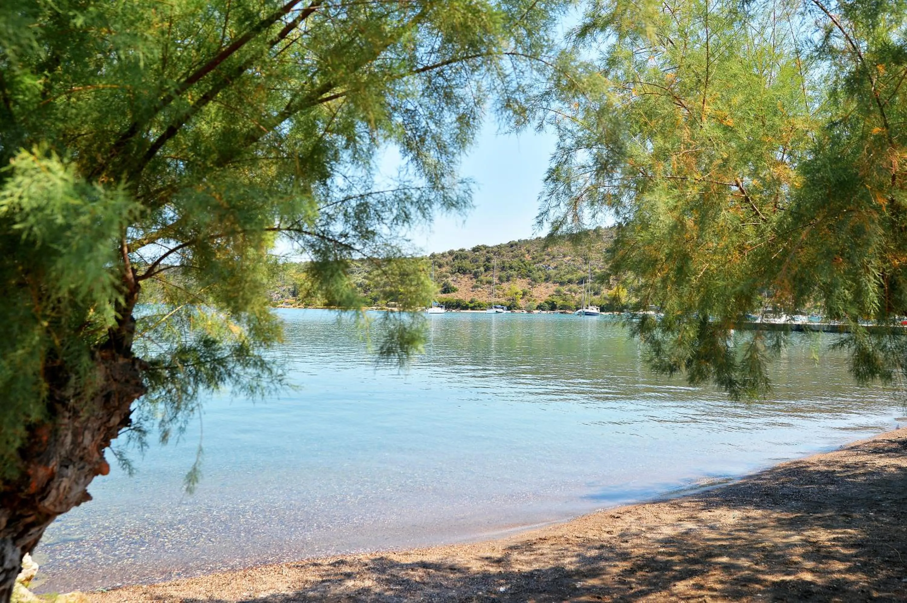 Nearby landmark in ID Holiday Living