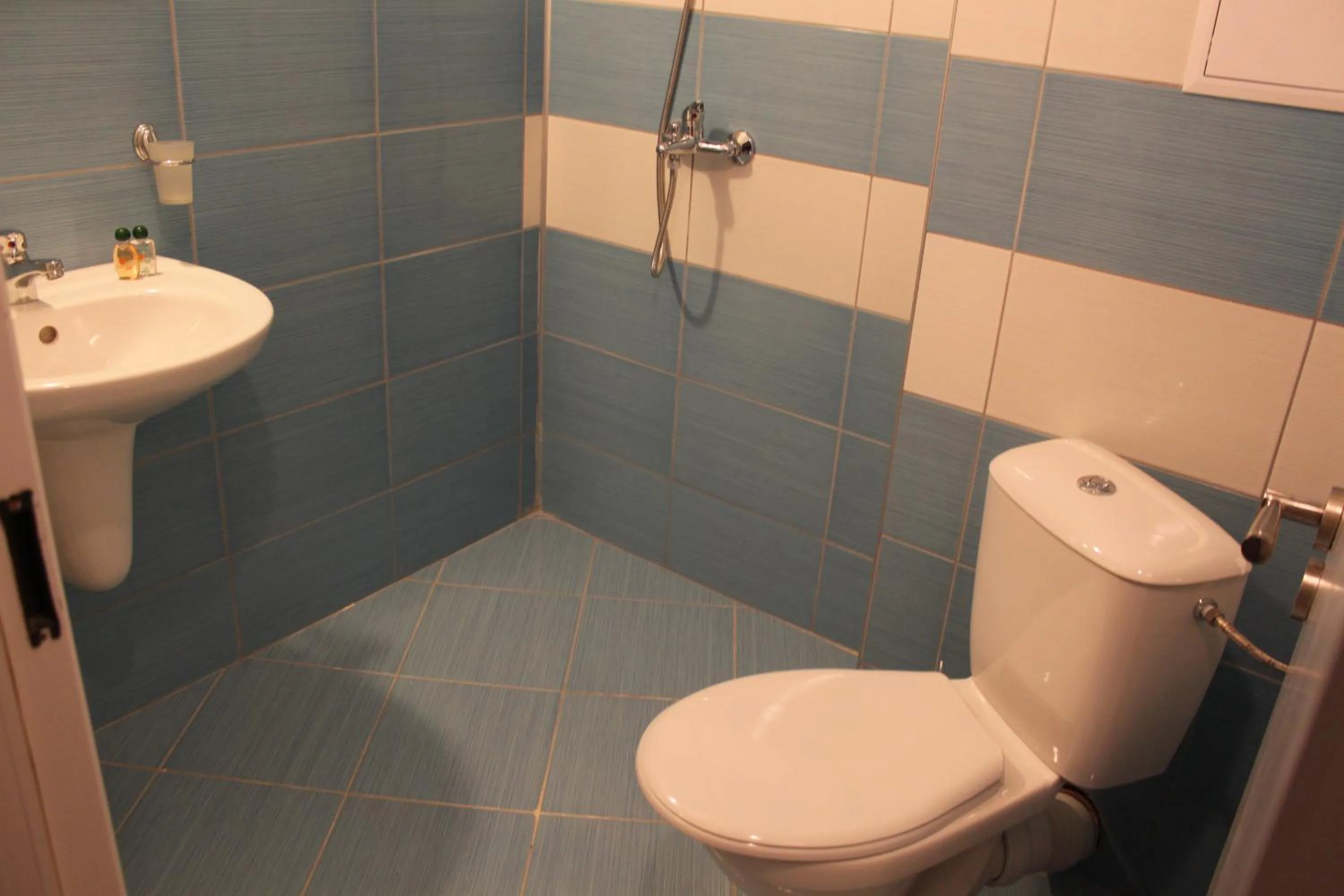 Toilet in Rose Garden Omax Apartments