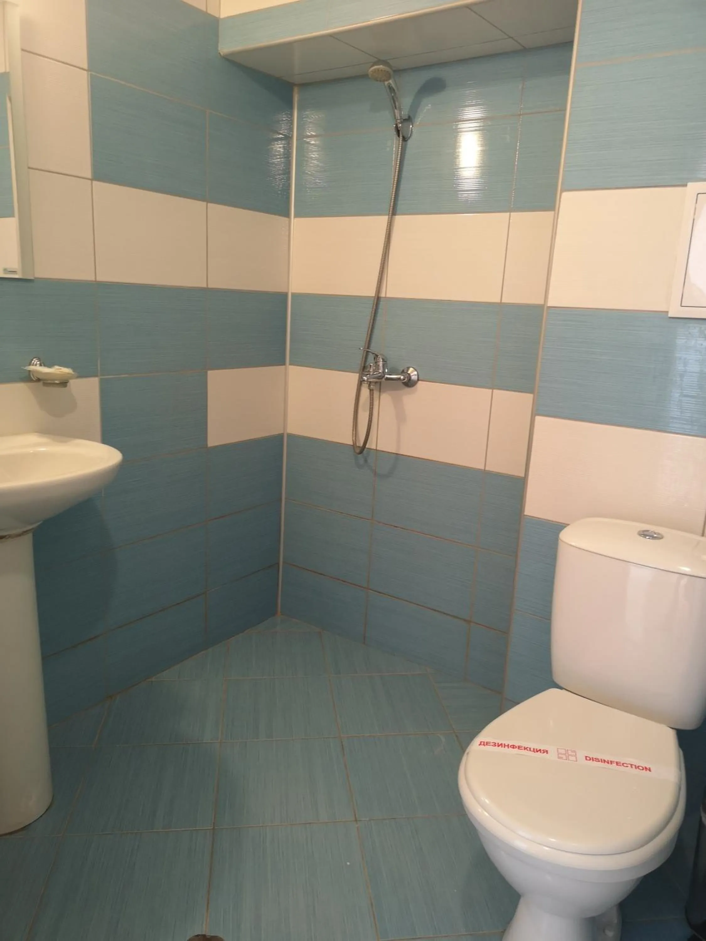 Bathroom in Rose Garden Omax Apartments