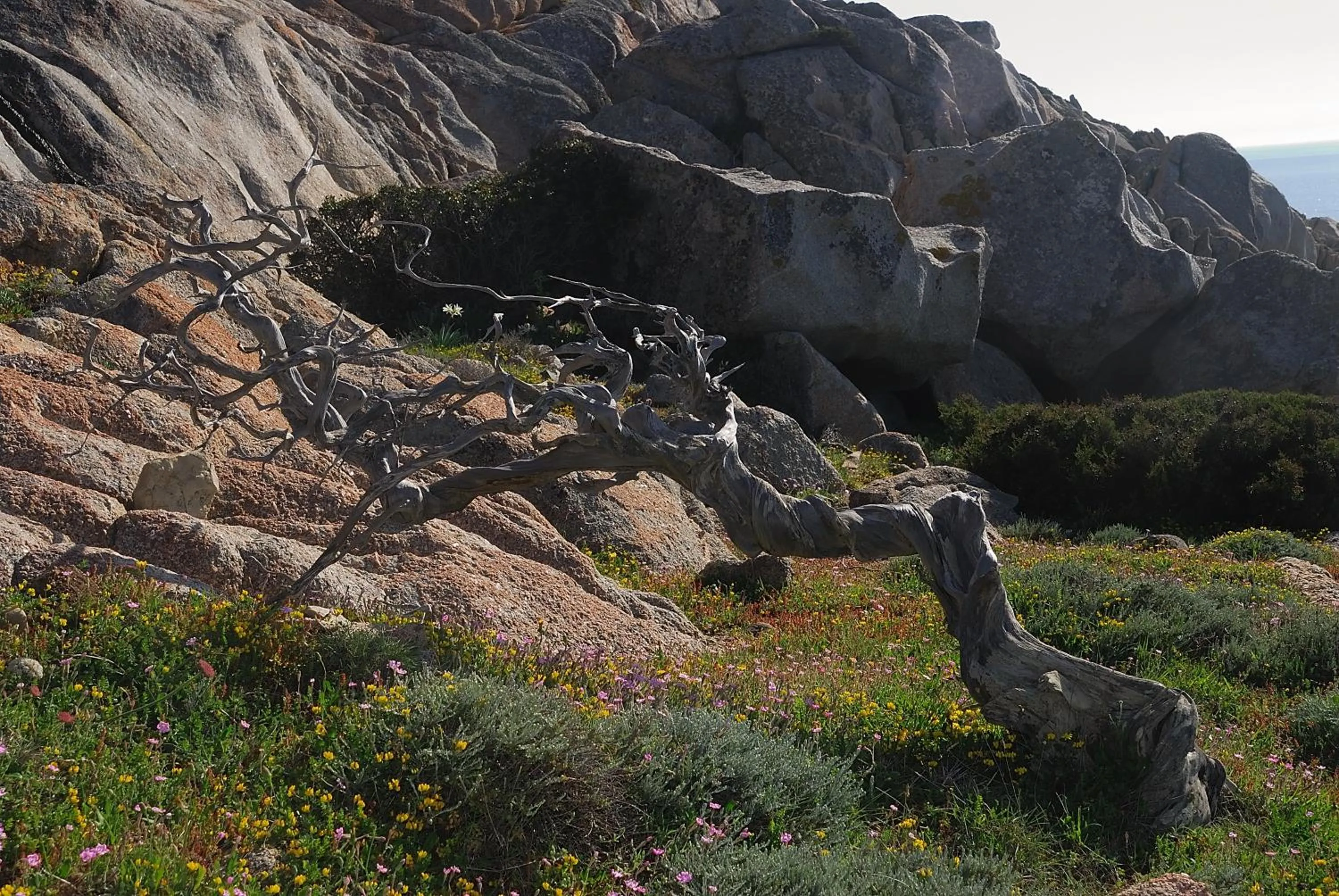 Nearby landmark in La Chicca di Francesca