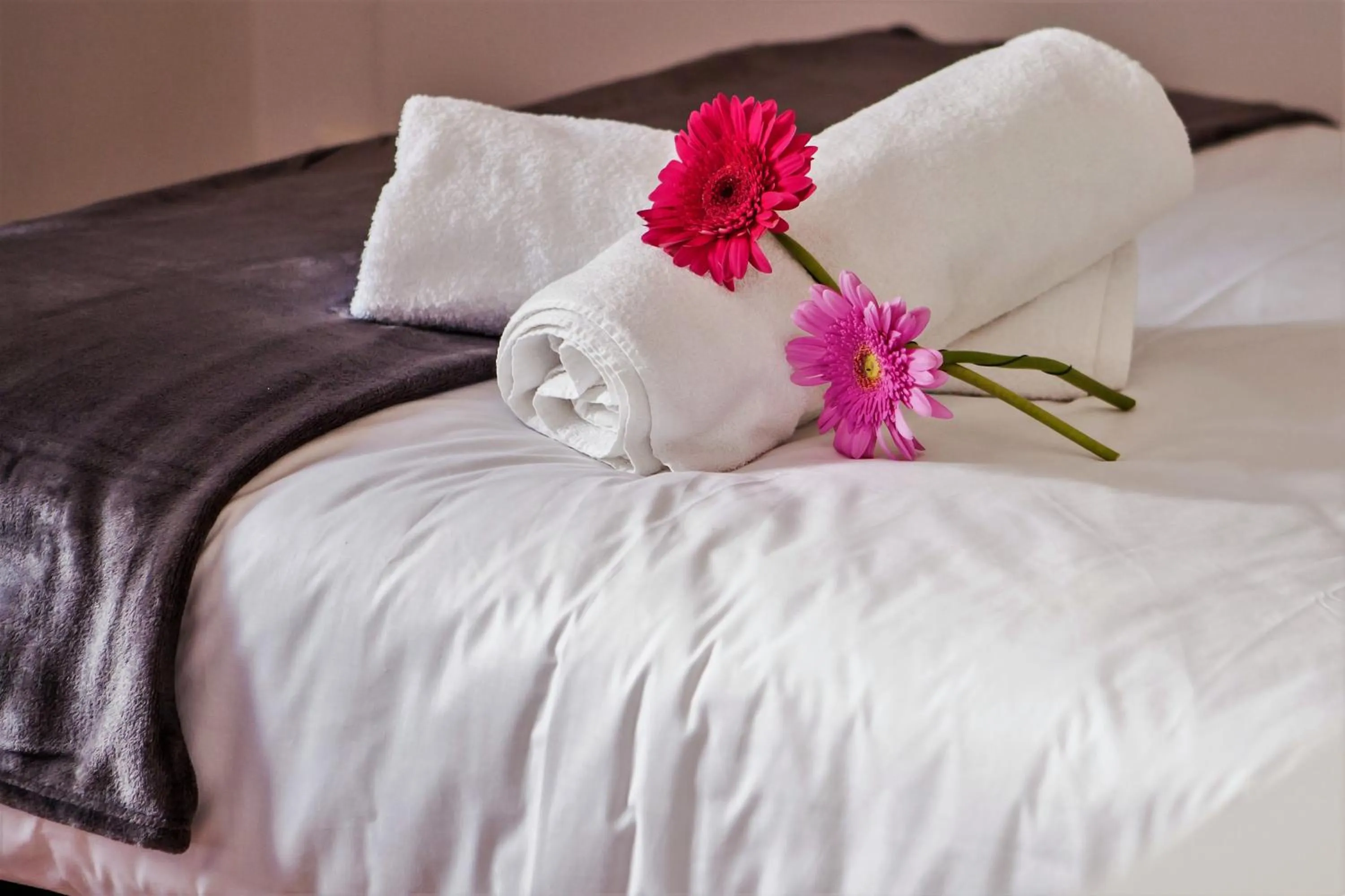 Bed in Lx Center Chiado