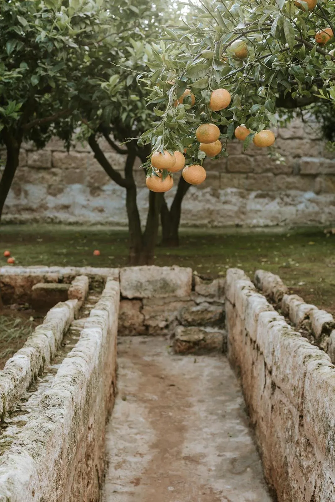 Property building in Masseria Mammella