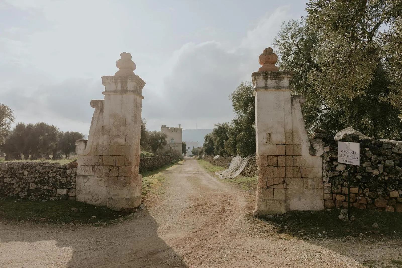 Property building in Masseria Mammella