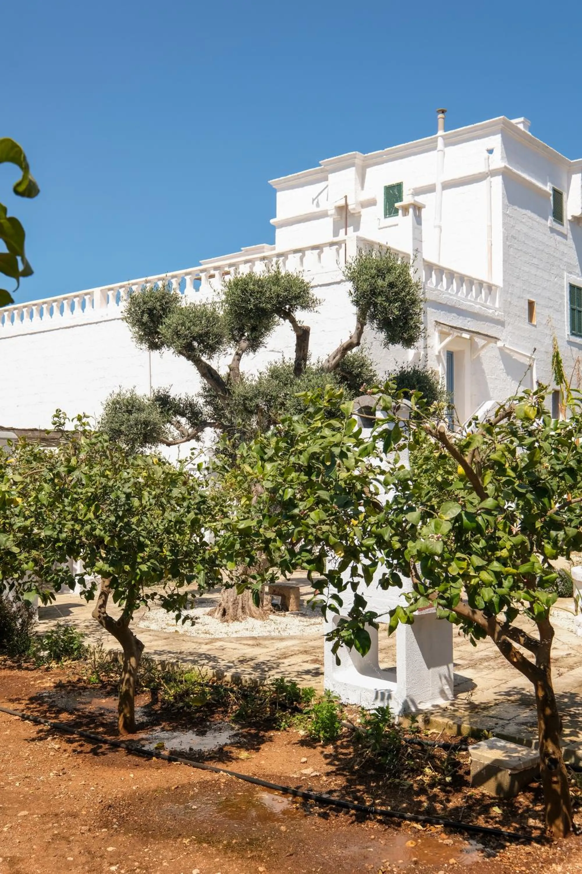 Day in Masseria Mammella