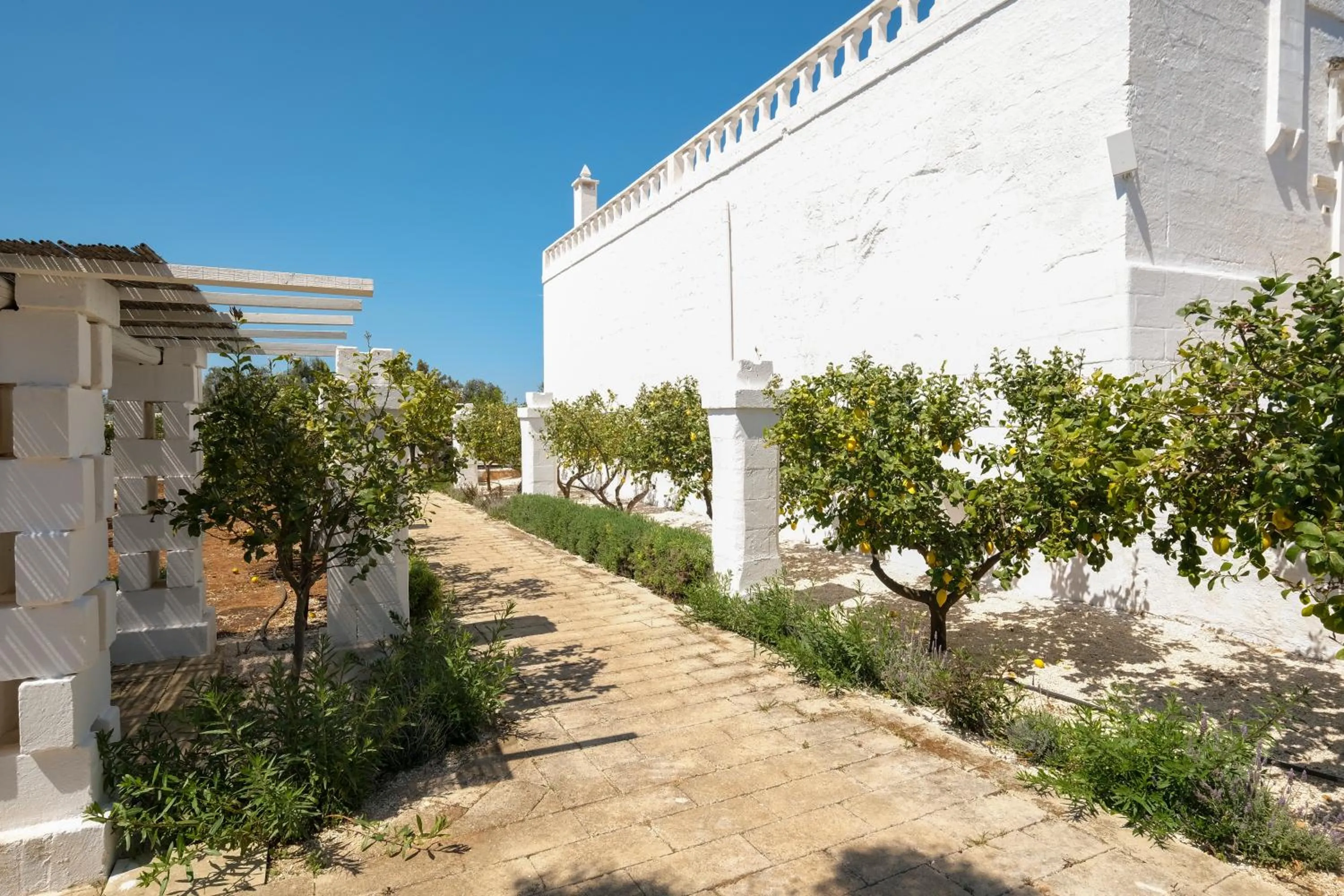 Property building in Masseria Mammella