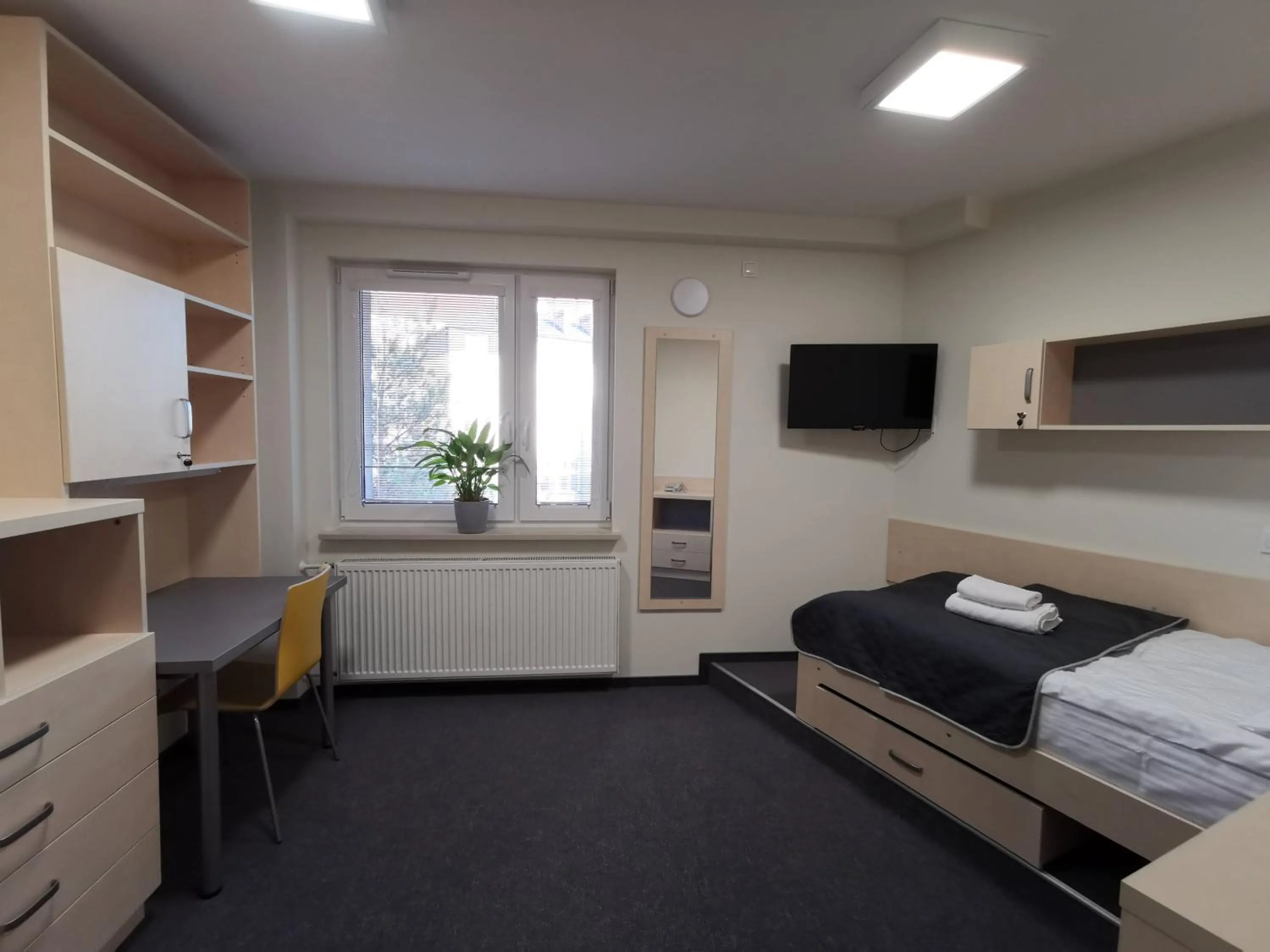 Dom Studencki Zaułek