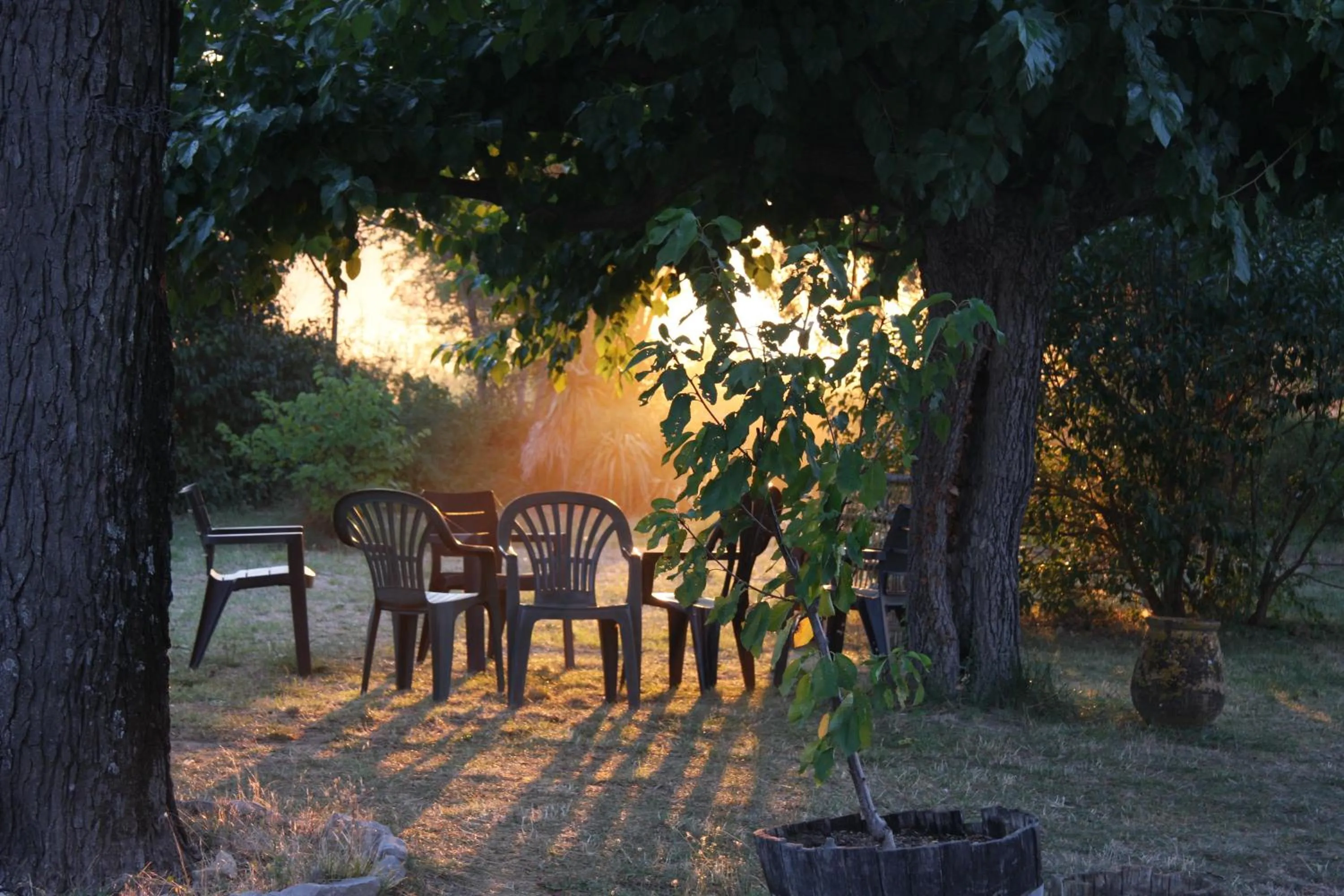 Garden in Domaine Mas Pigné