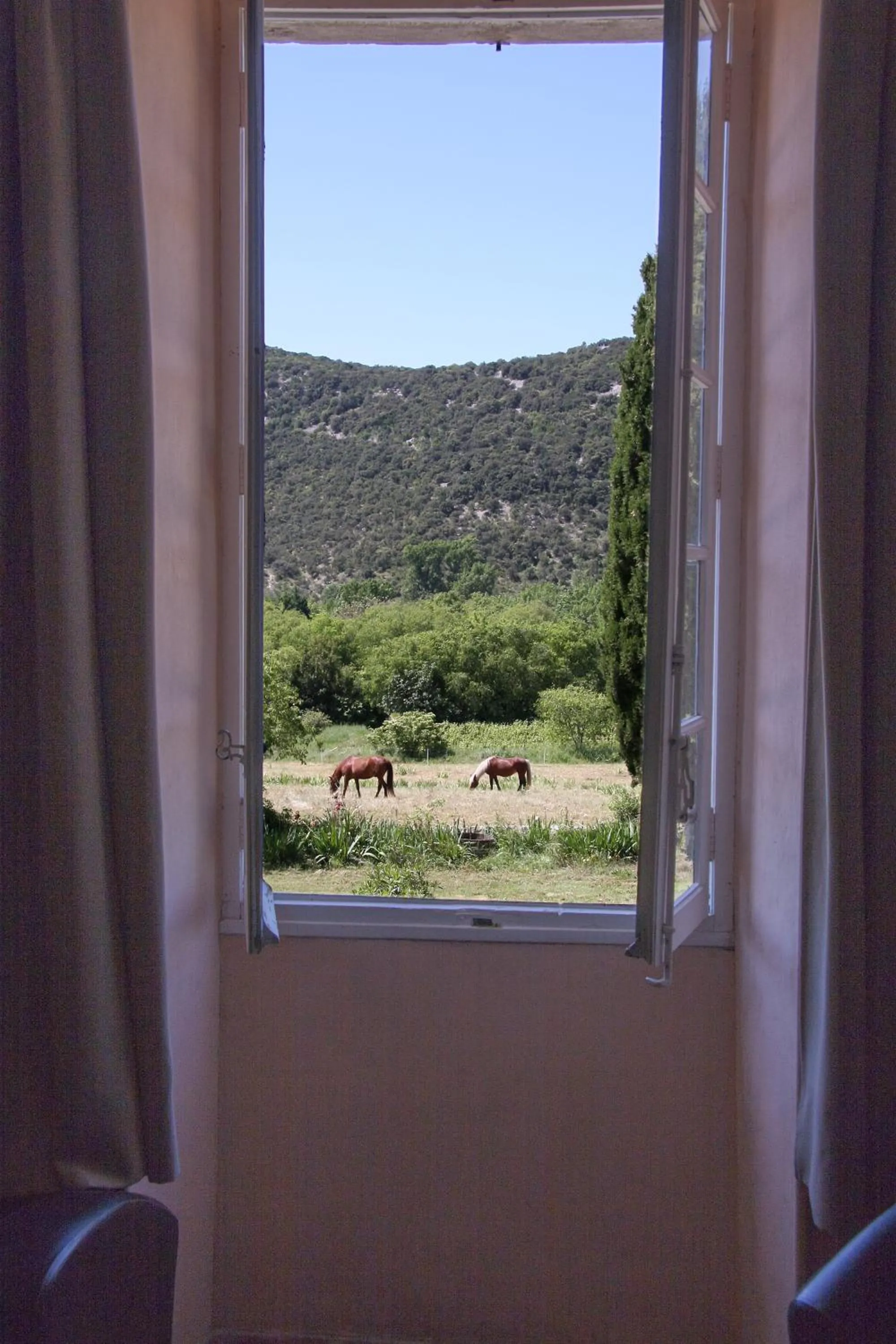 Animals in Domaine Mas Pigné