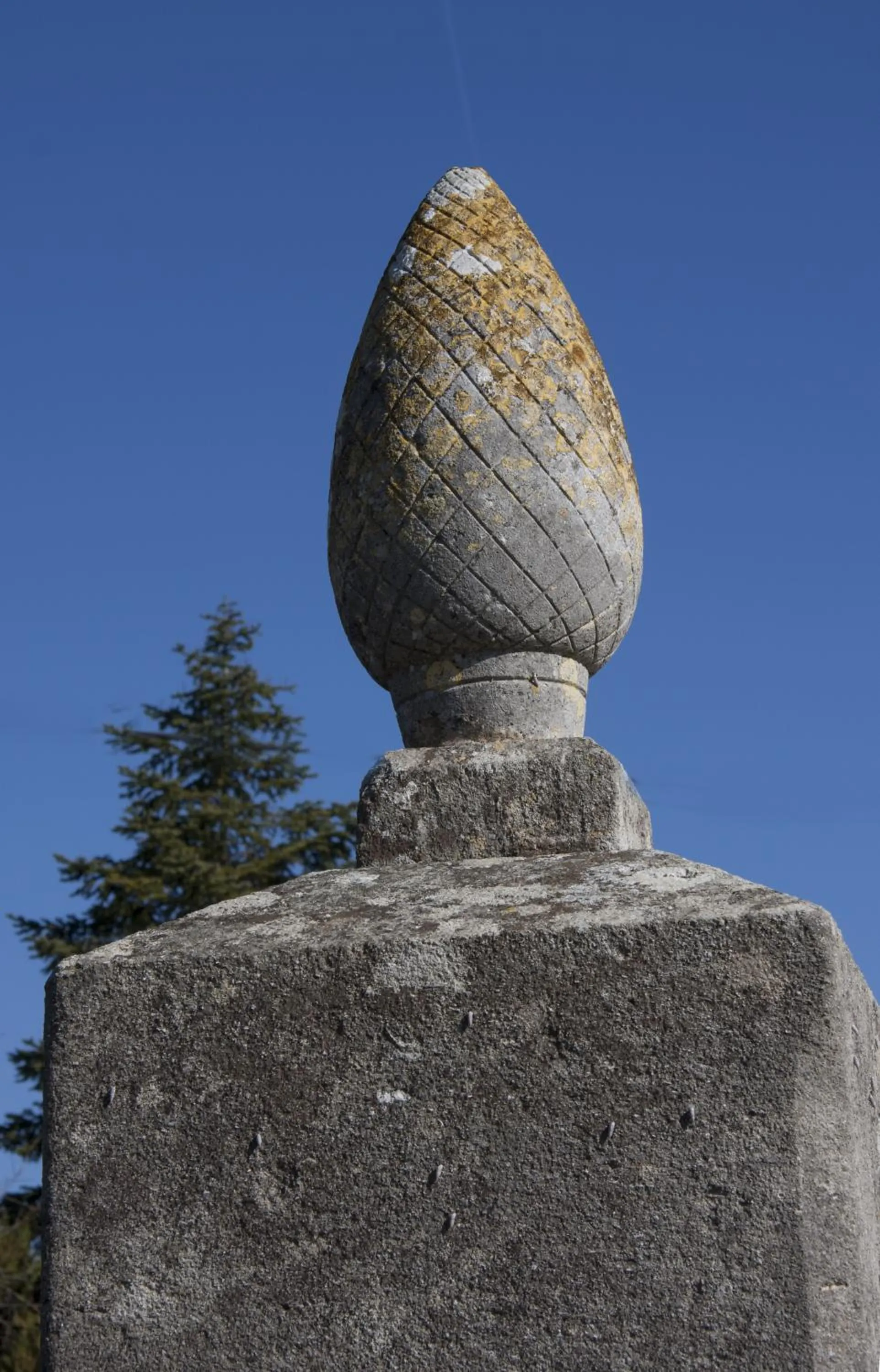 Decorative detail in Domaine Mas Pigné