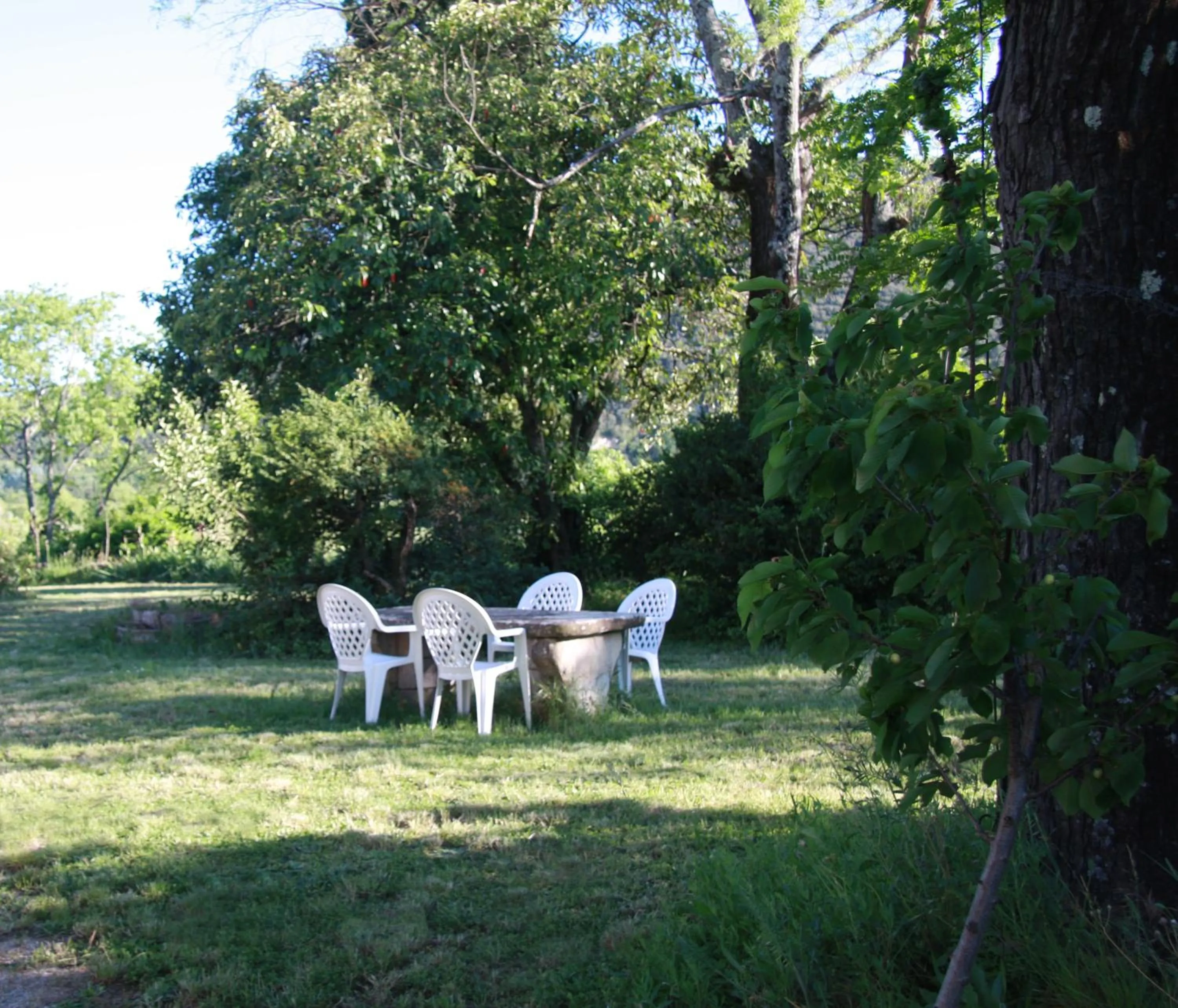 Garden in Domaine Mas Pigné