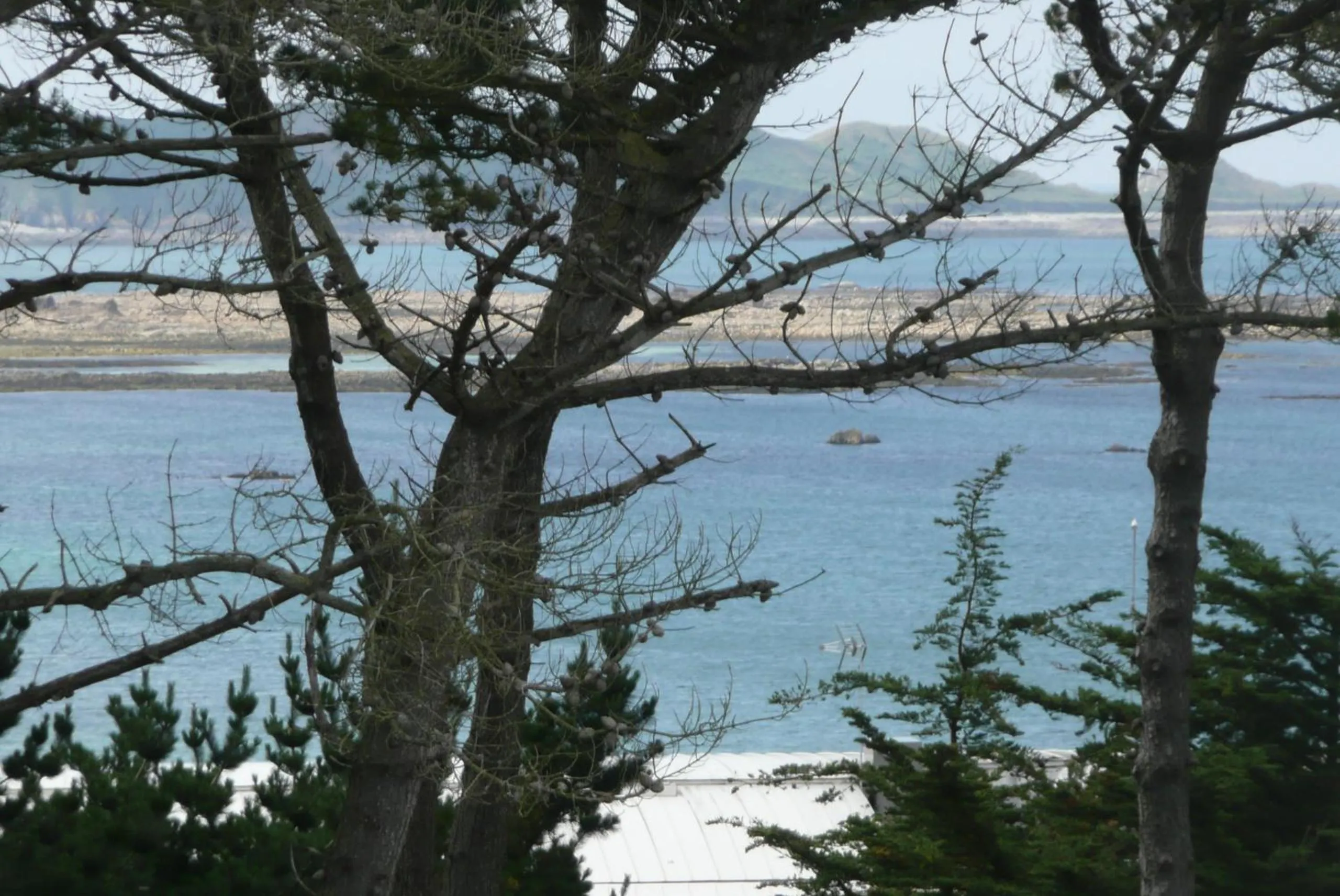 Area and facilities in Résidence Saint-Yves