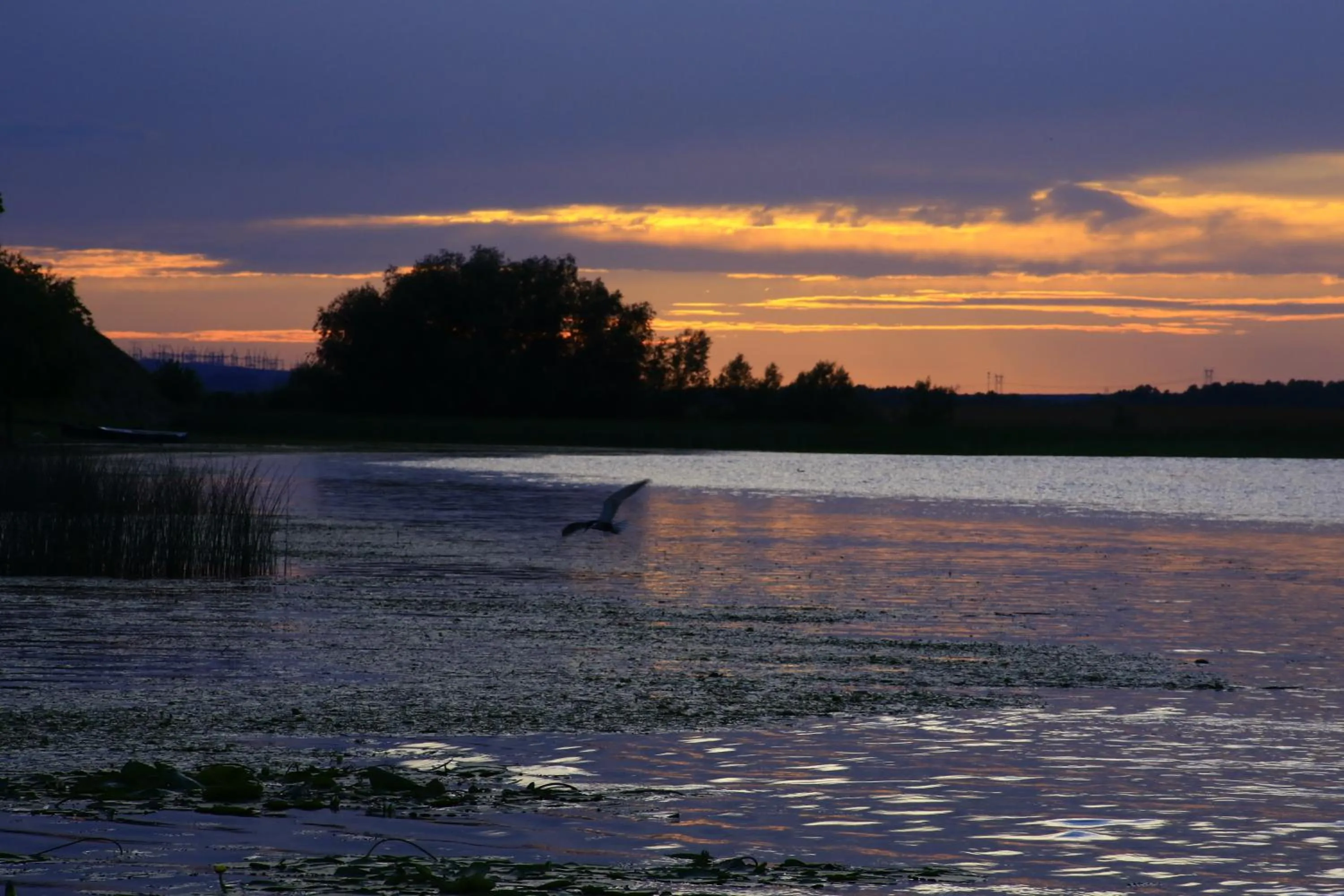 Natural landscape in Delta Resort Treetop by Eight Continents
