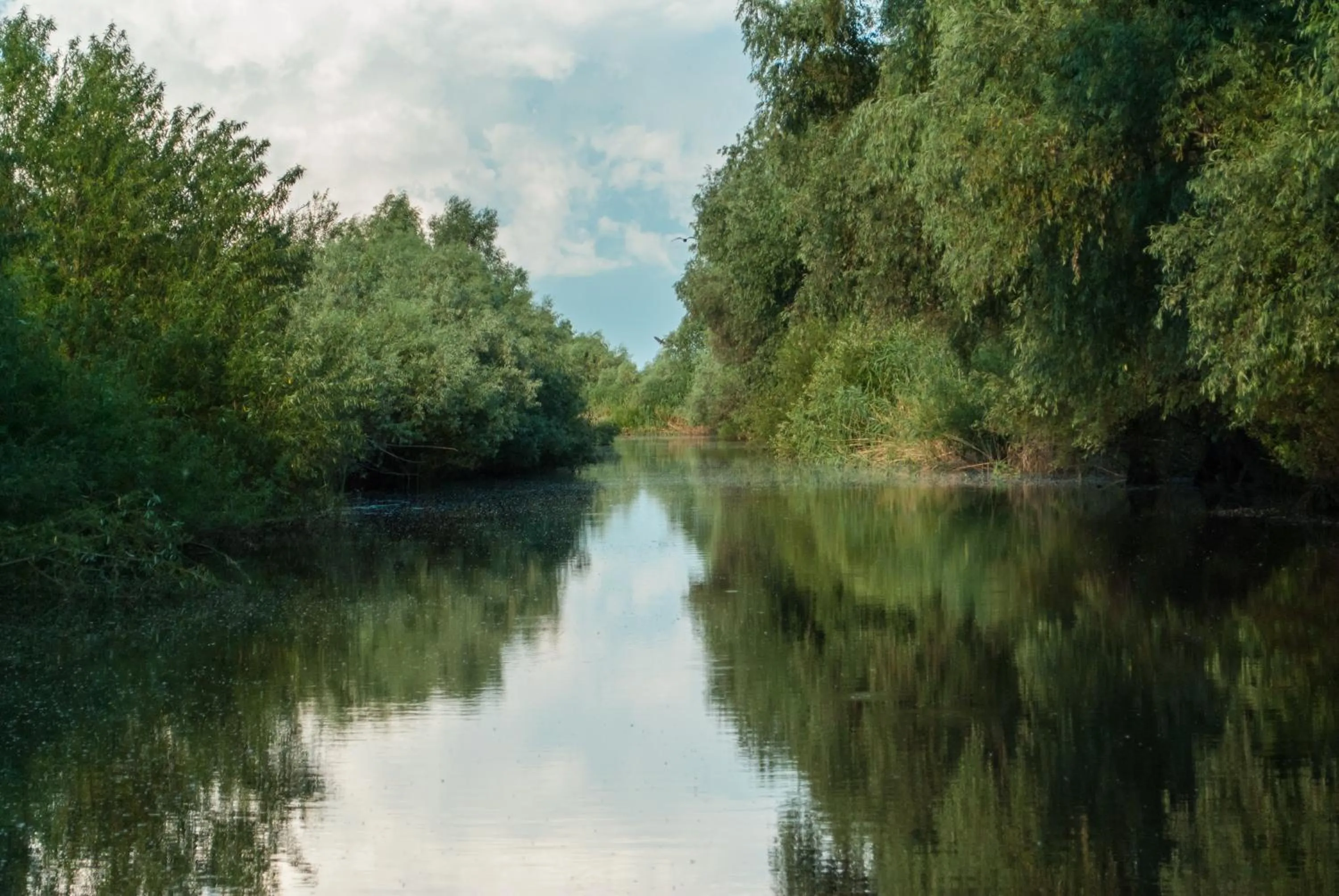 Day in Delta Resort Treetop by Eight Continents