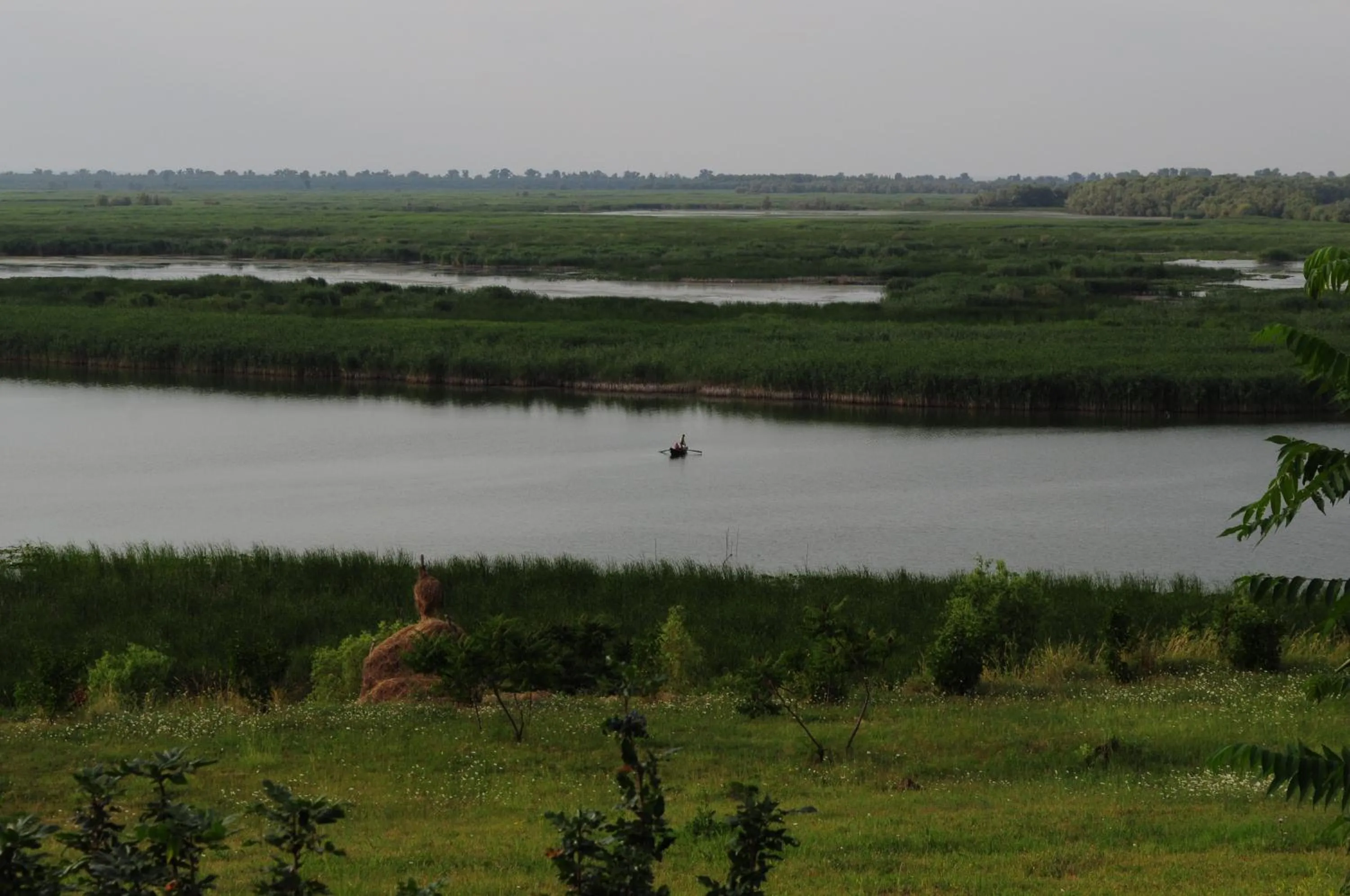 Natural landscape in Delta Nature Resort
