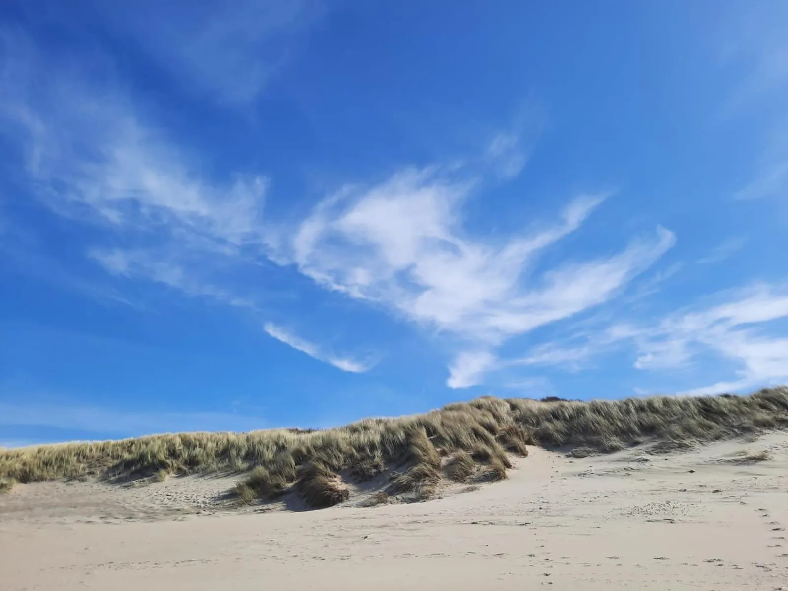 Beach in B&B Dennenbos
