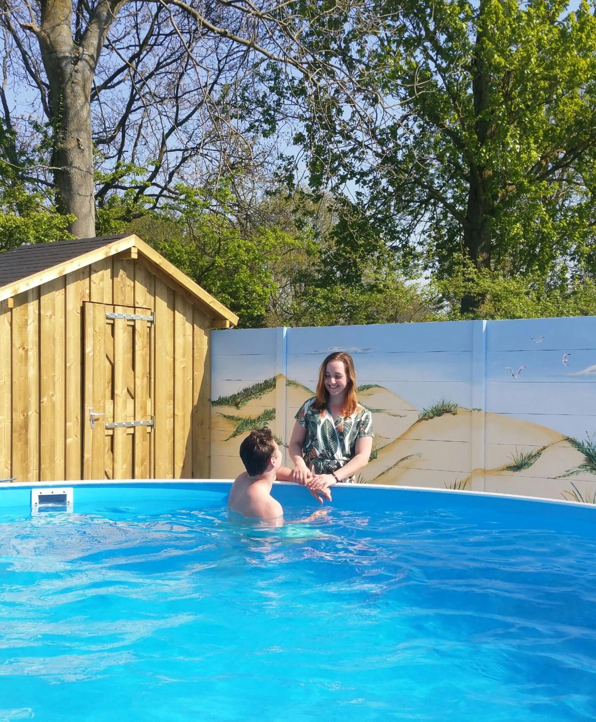 Swimming pool in B&B Dennenbos