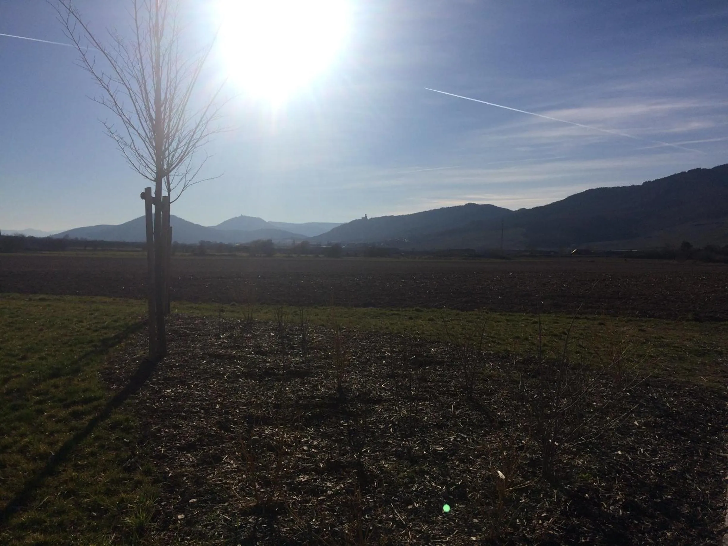 Natural landscape in Chambres d'Hôtes Arnold