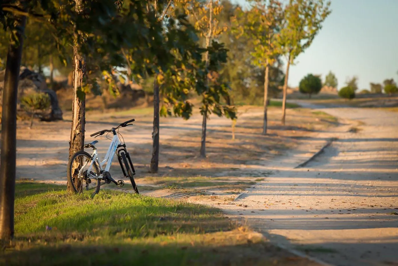 View (from property/room) in Hotel Casino Chaves