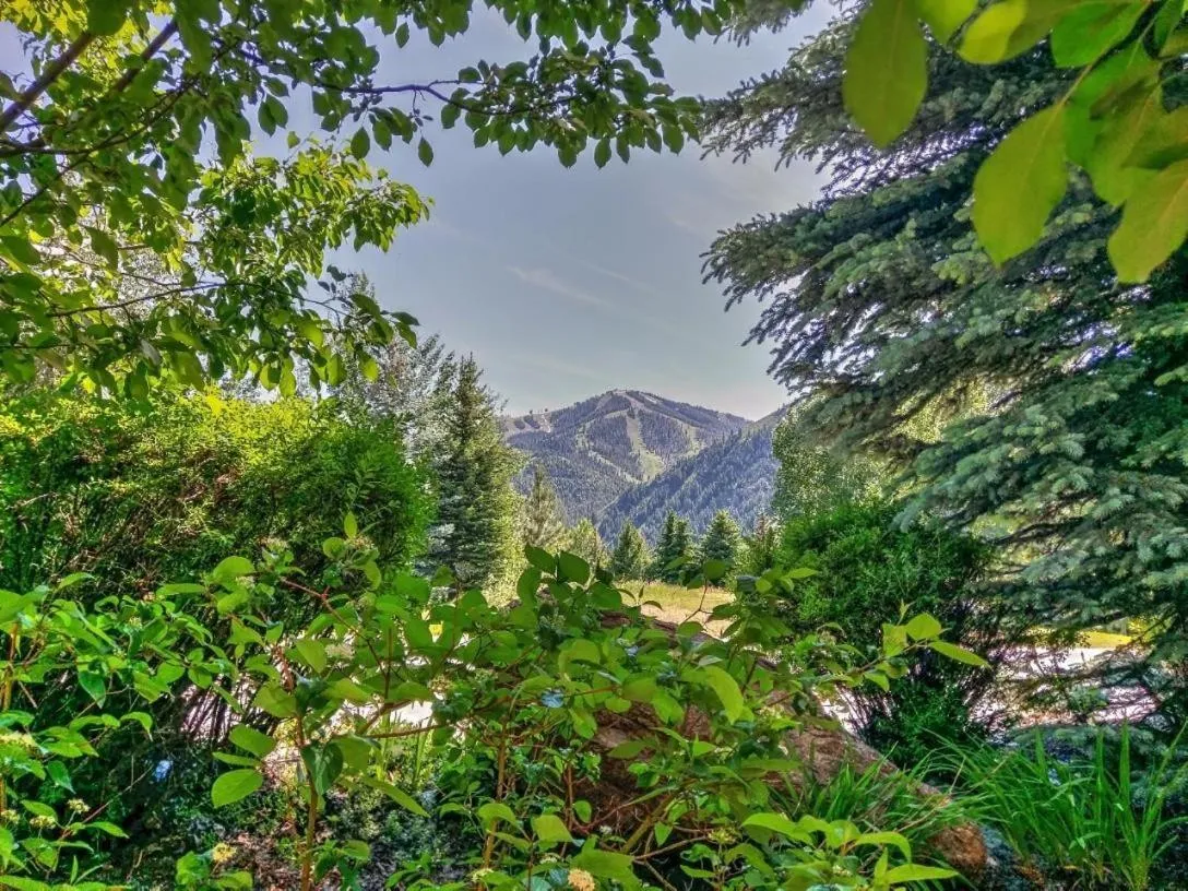 Thunder Springs Condo A2-6