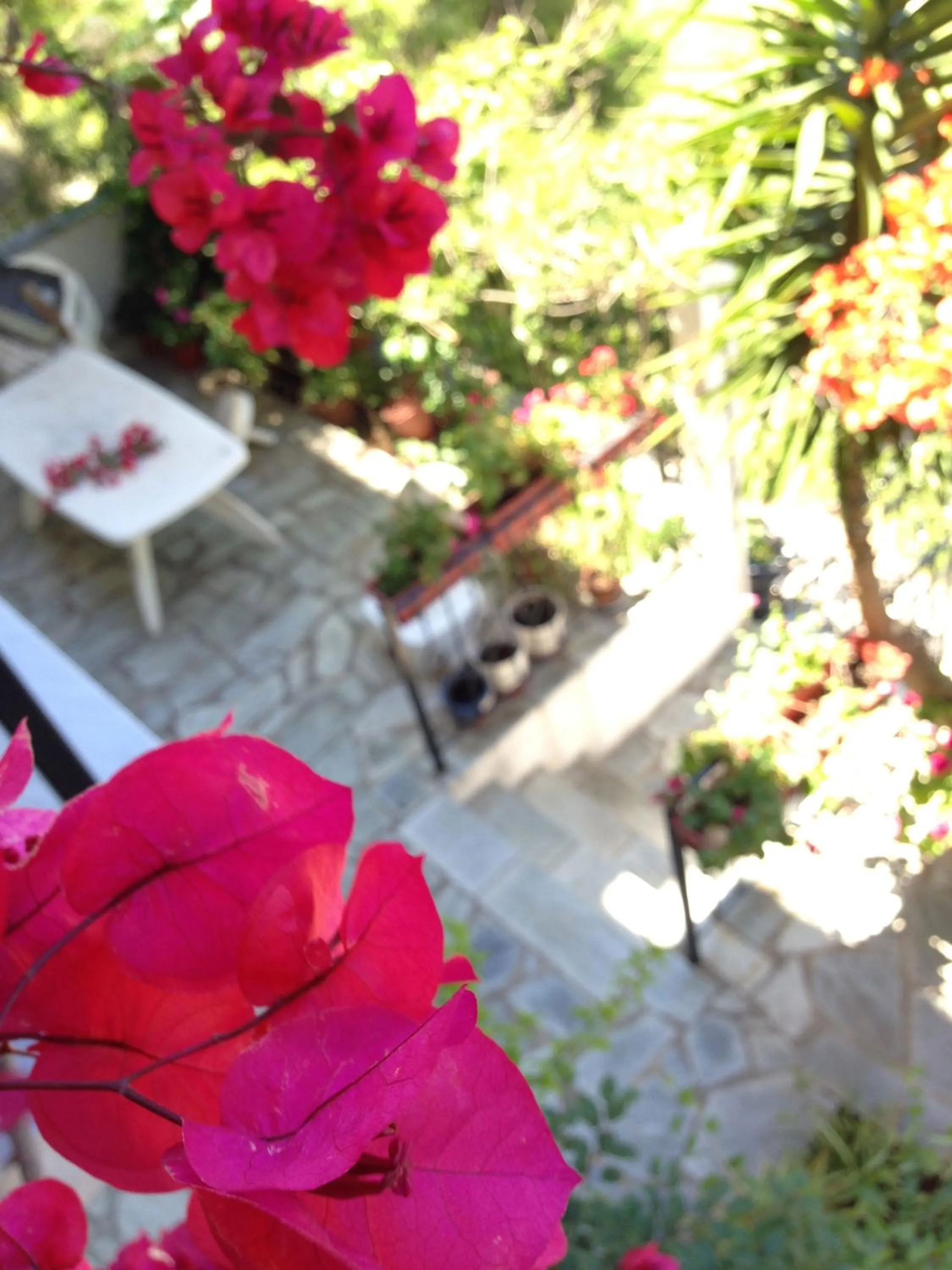 Bird's eye view in Mimoza Studios