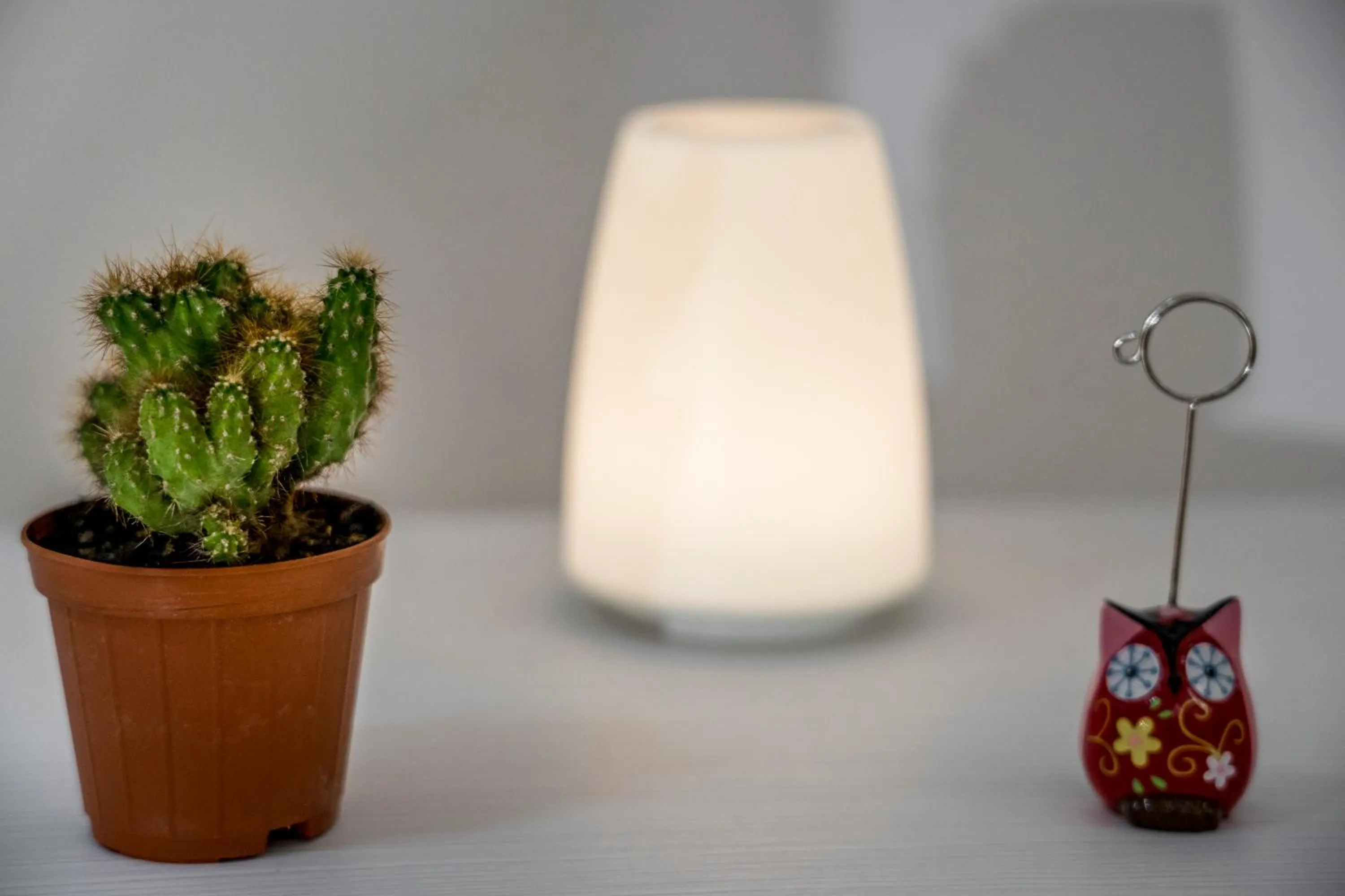 Decorative detail in Opera House