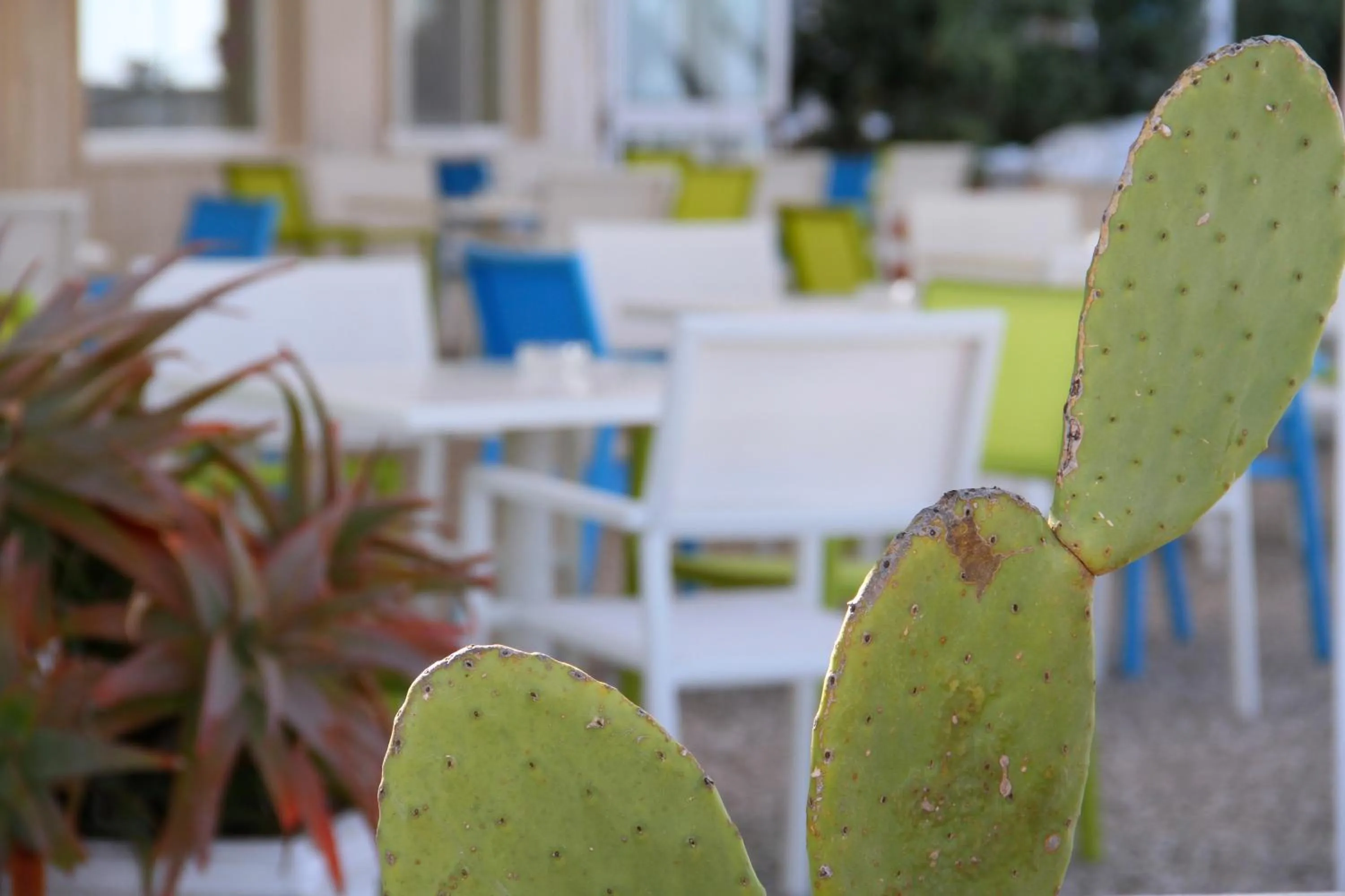 Patio in Hotel La Sorgente