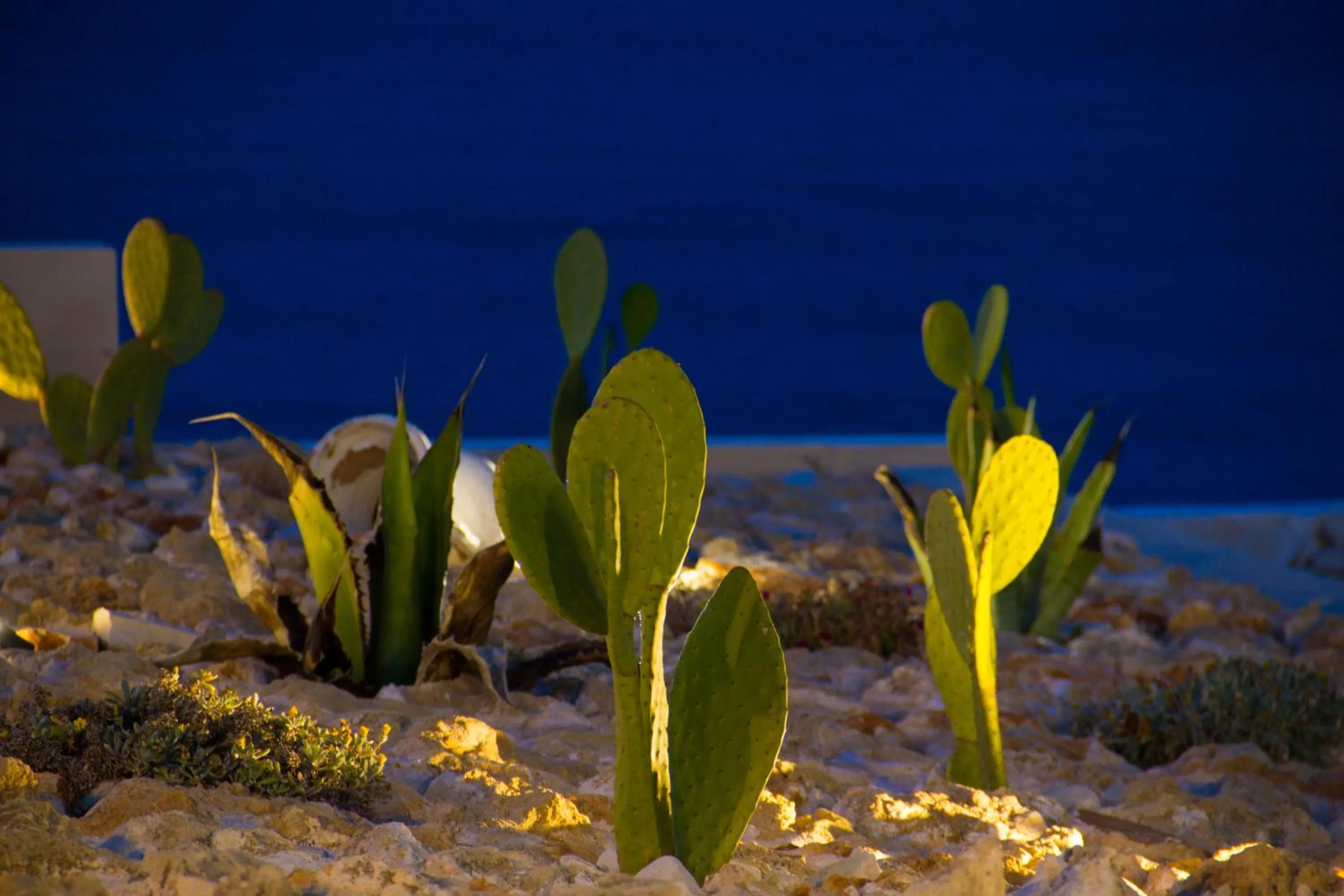 Other in Hotel La Sorgente