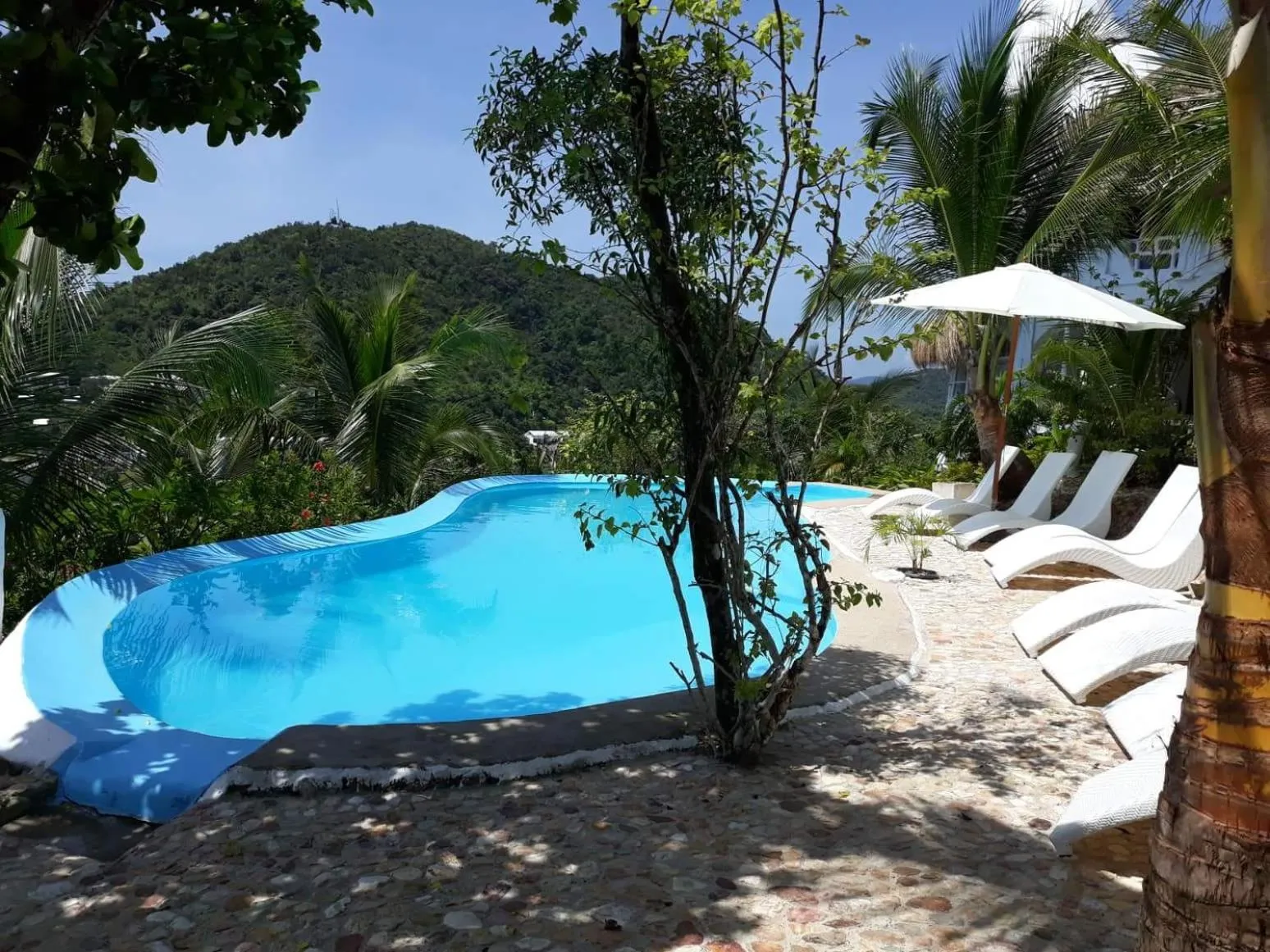 Natural landscape in AL FARO Cosmio Hotel Palawan