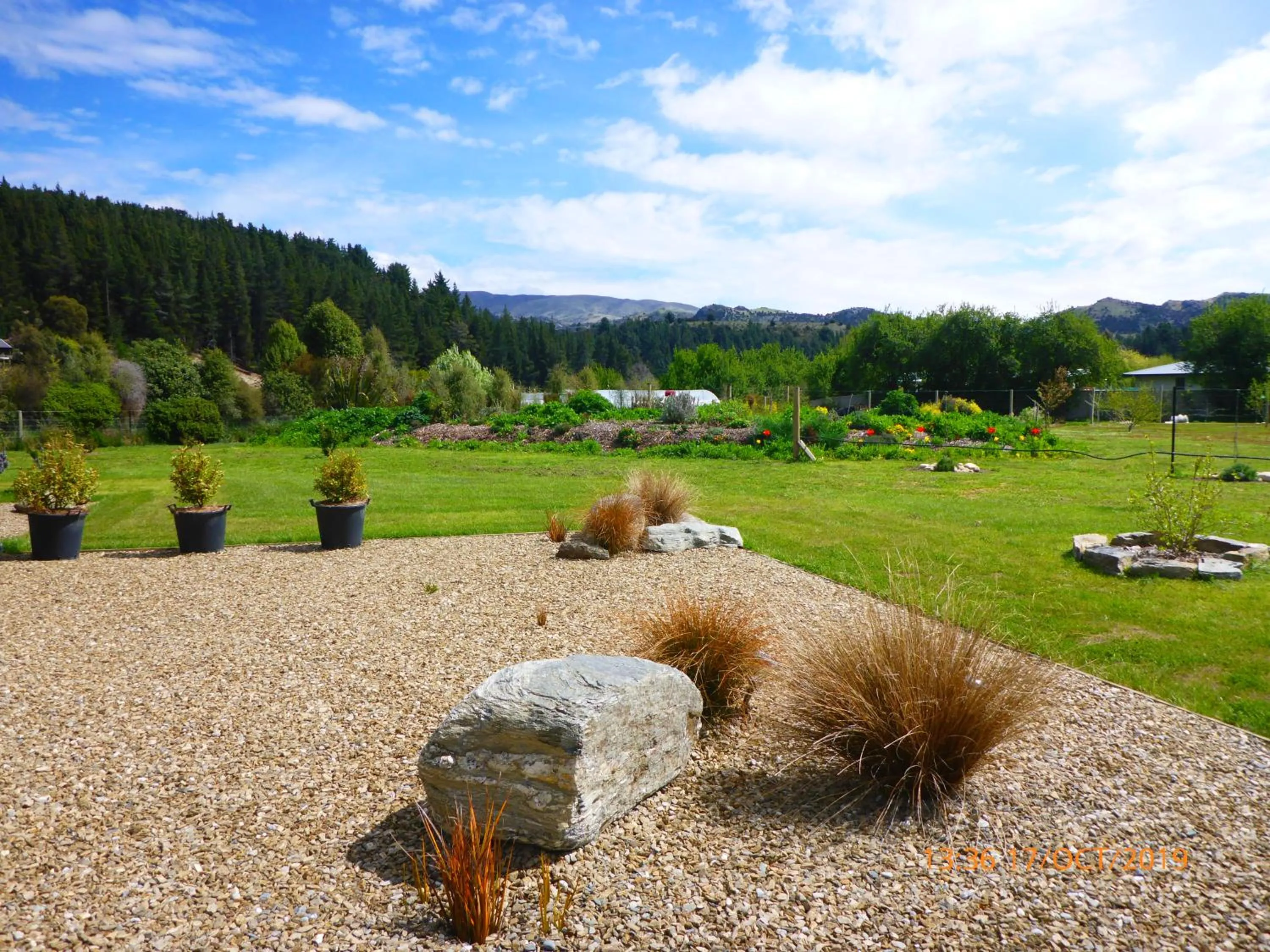 Garden view in Fran and Frankie's Bed & Breakfast
