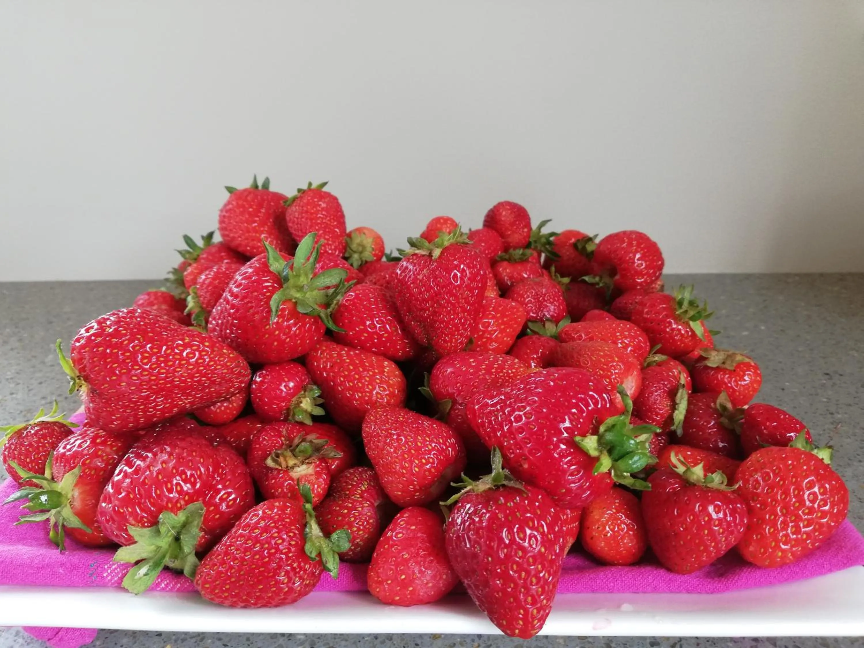 Food in Fran and Frankie's Bed & Breakfast