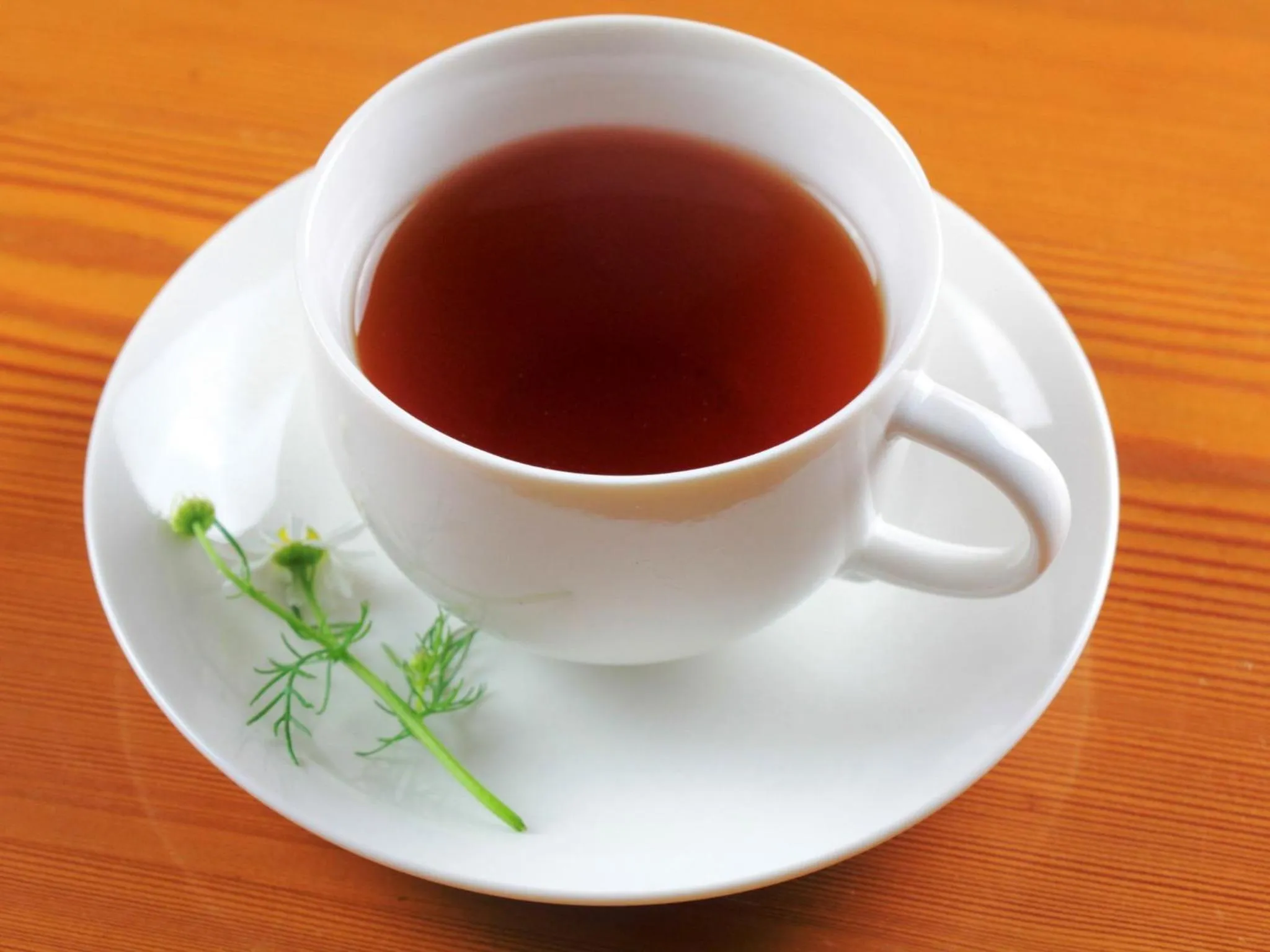 Non alcoholic drinks in Pension Peppermint House