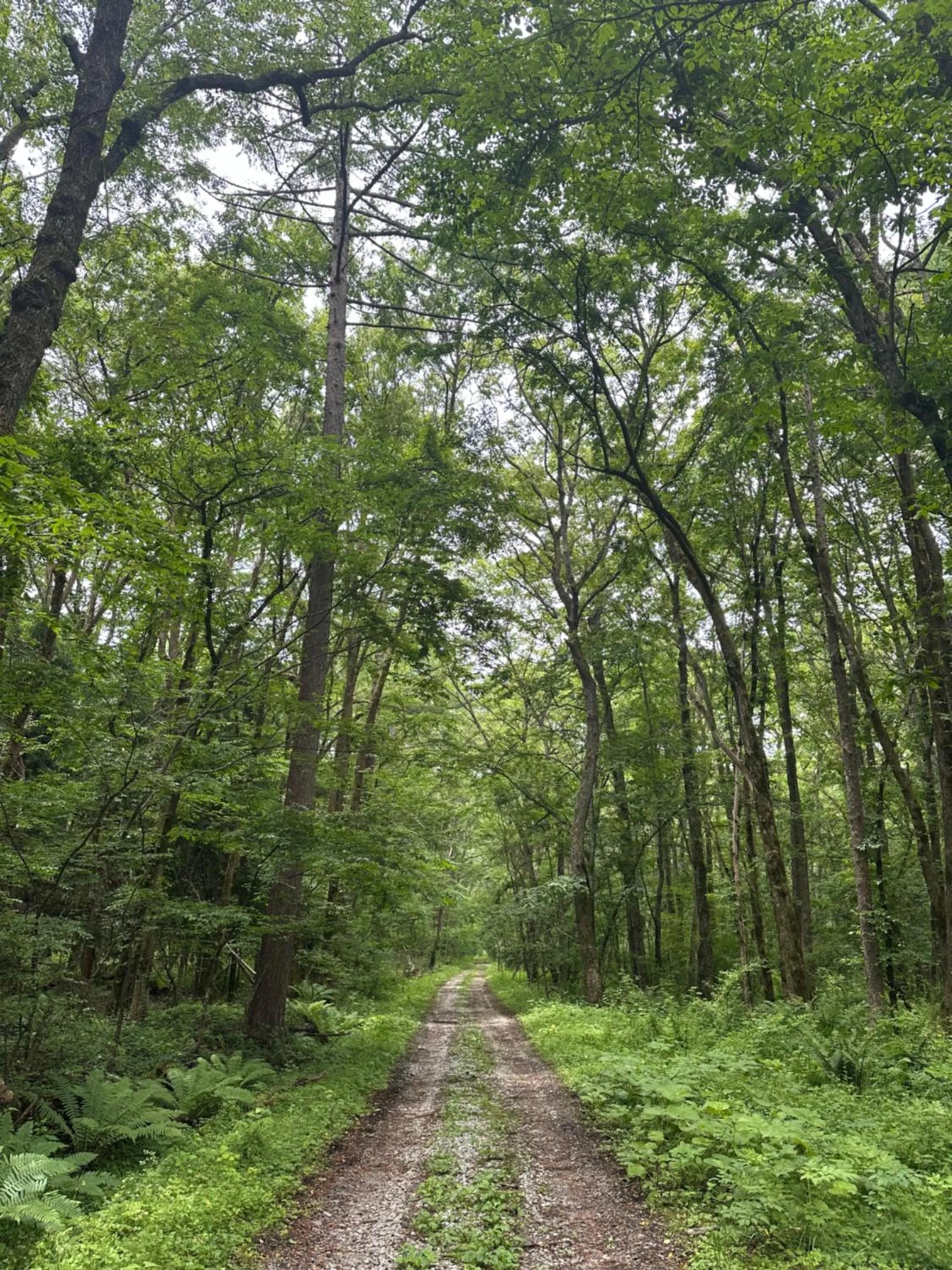 Off site in Pension Peppermint House