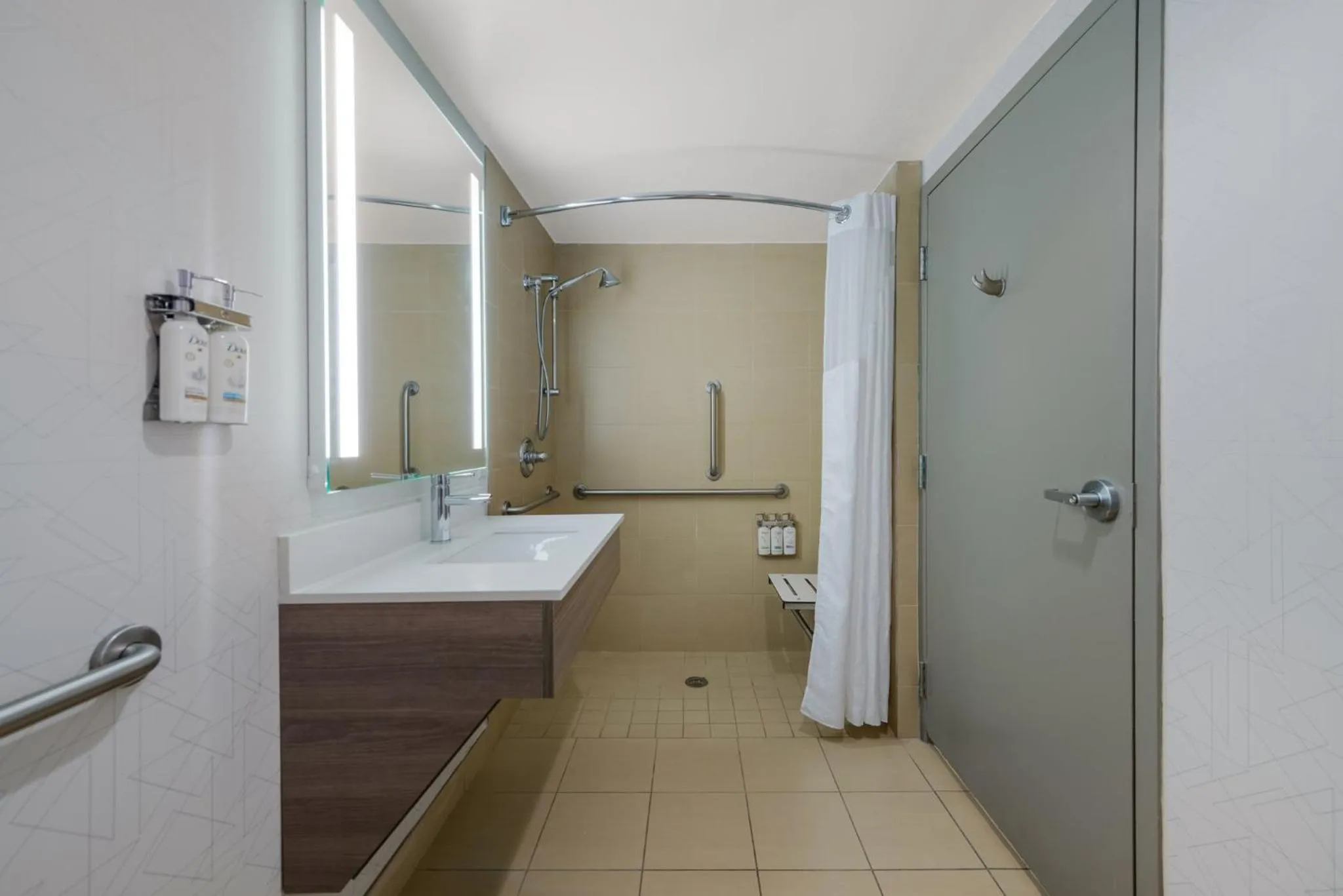 Bathroom in Holiday Inn Express Hotels- Hampton by IHG