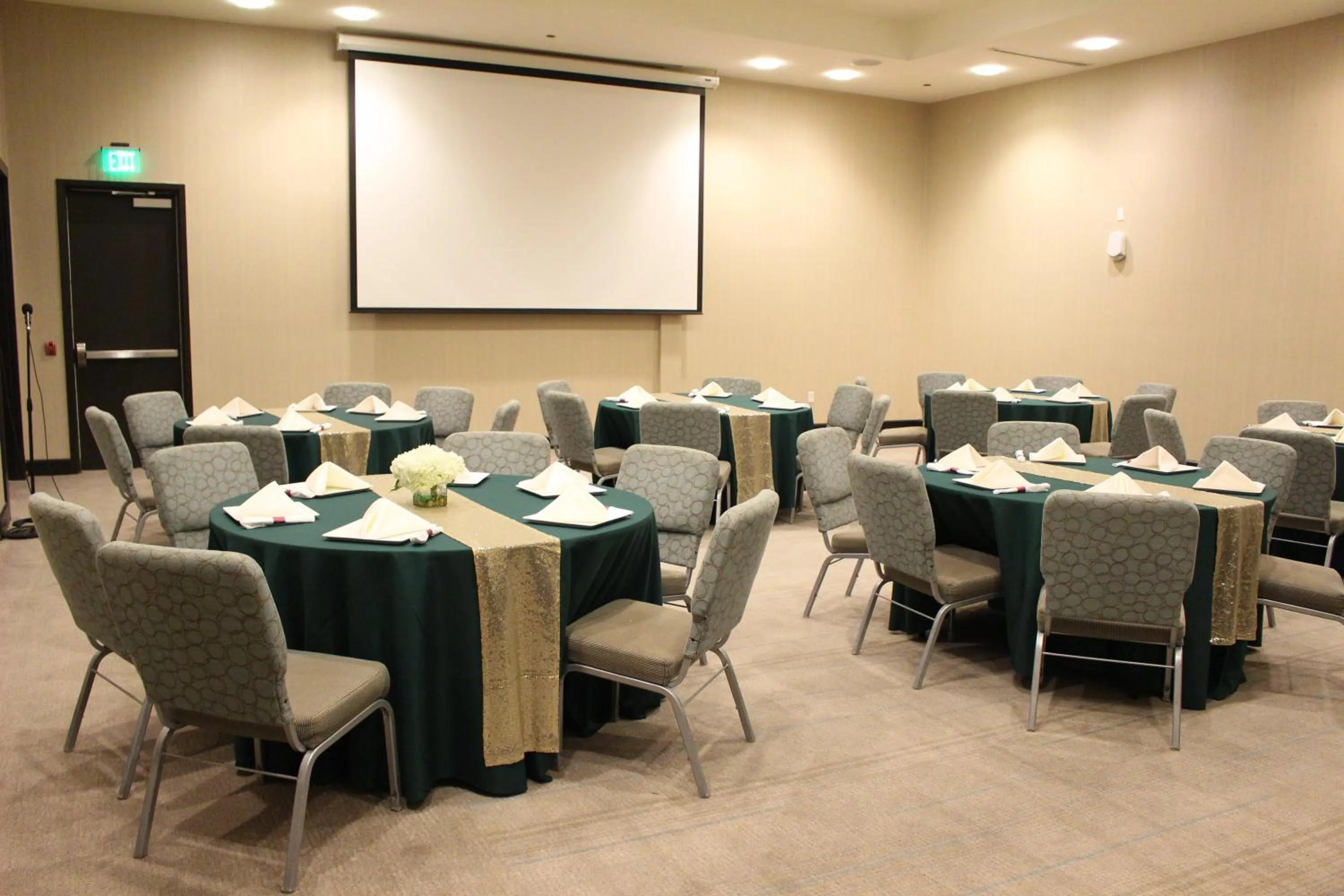 Meeting/conference room in Hotel Indigo Waco by IHG