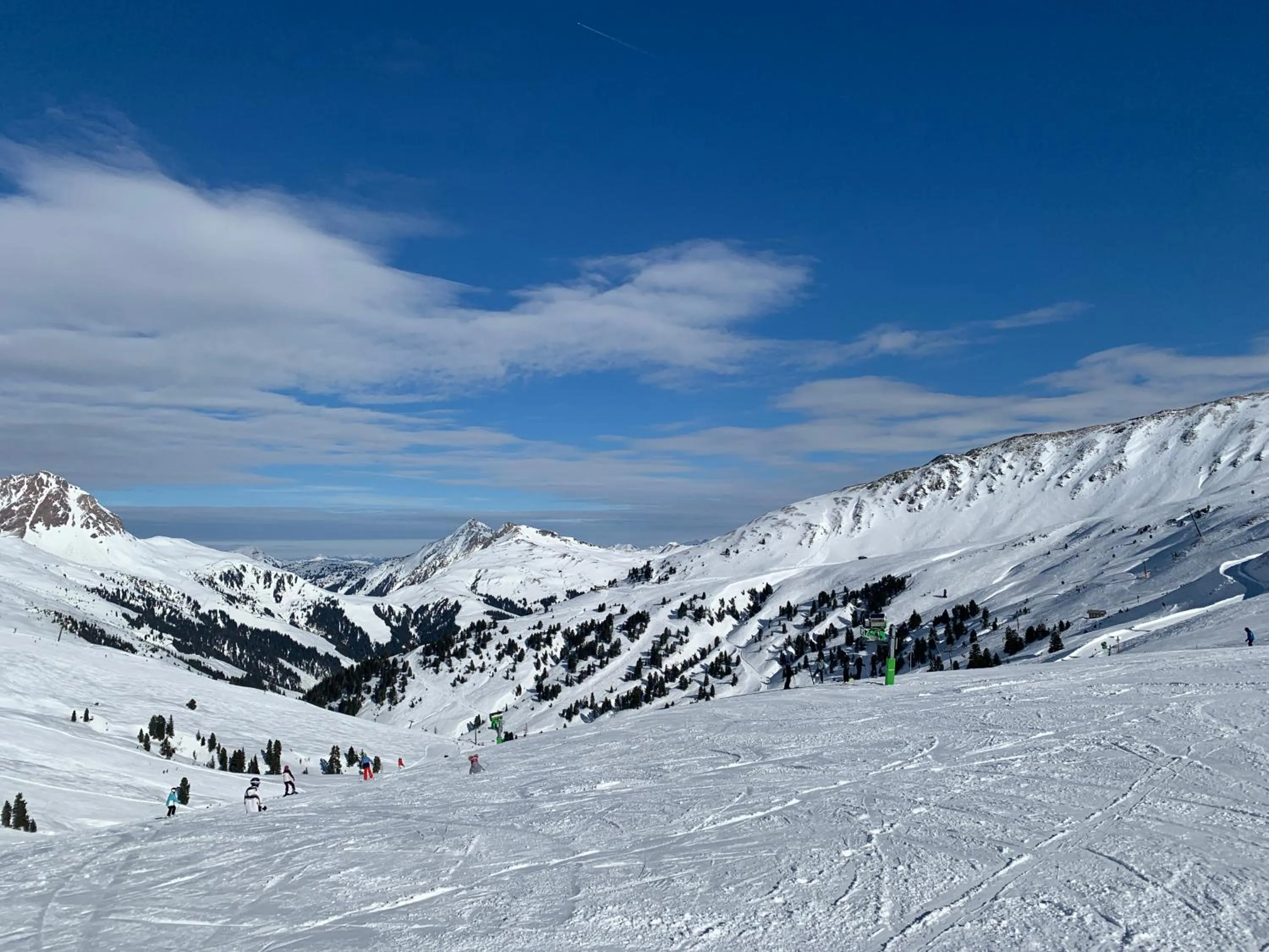 Winter in Hotel Wildrose