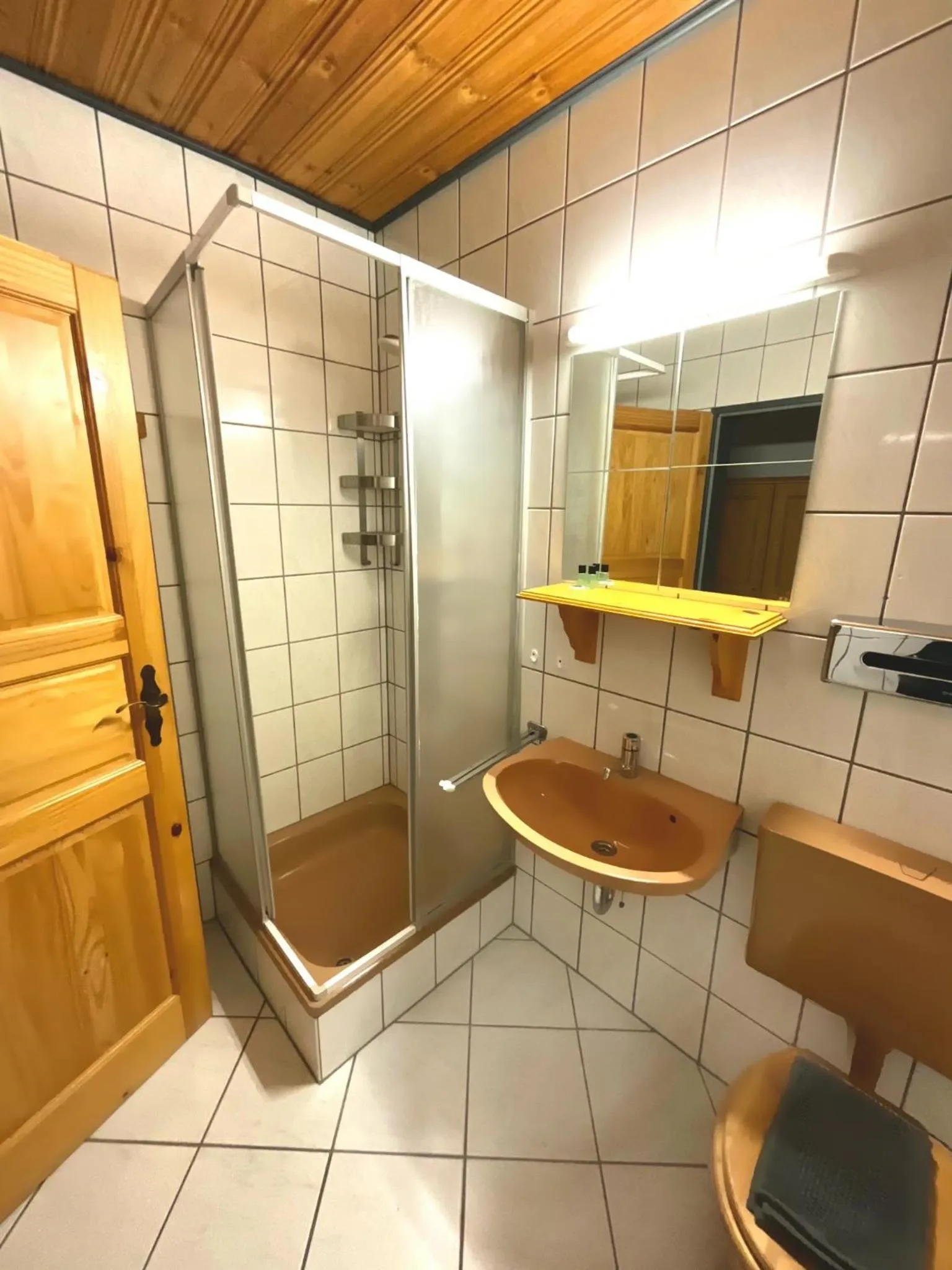 Shower in Hotel Wildrose