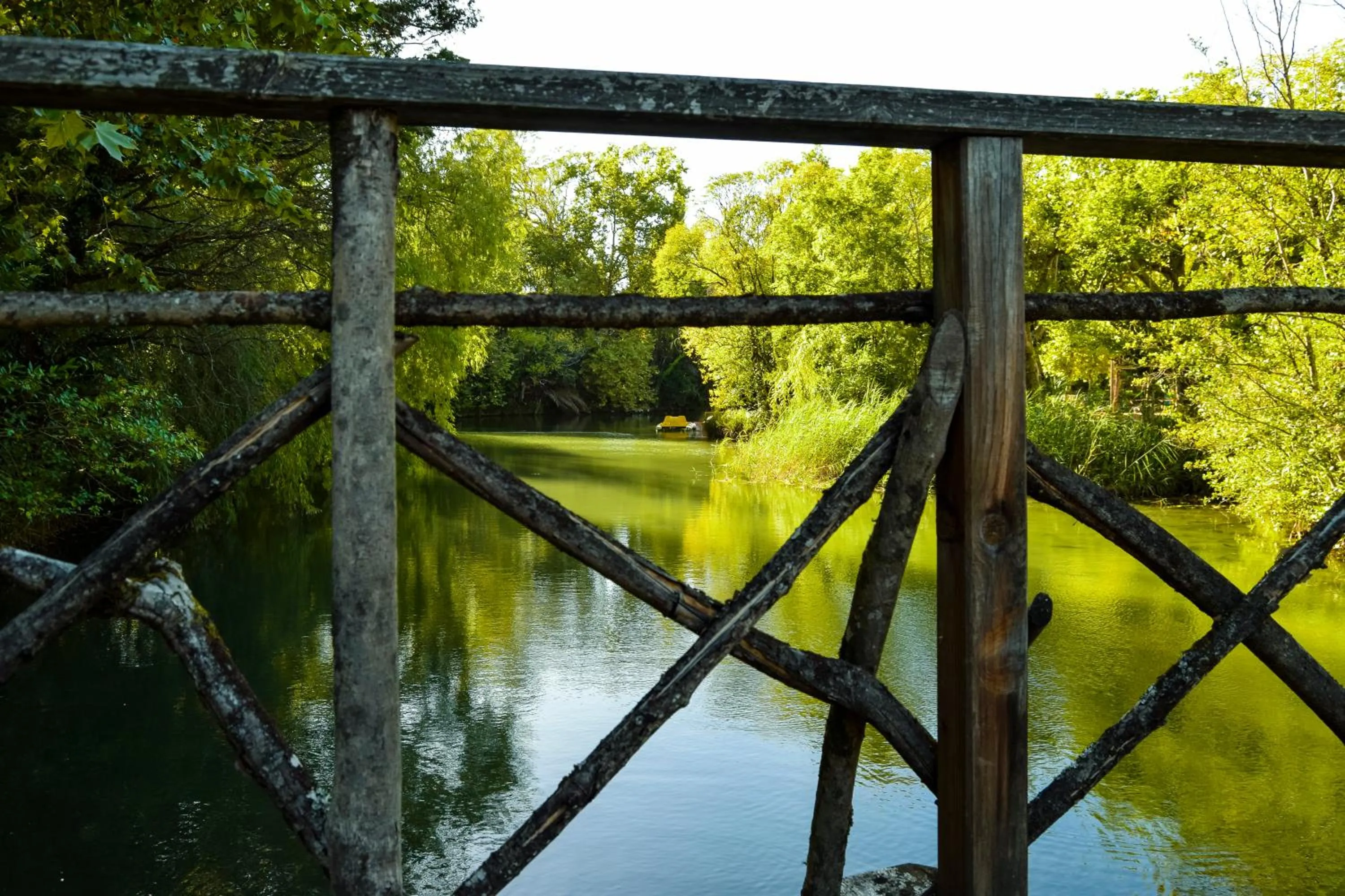 Garden view in Hotel Termas da Curia
