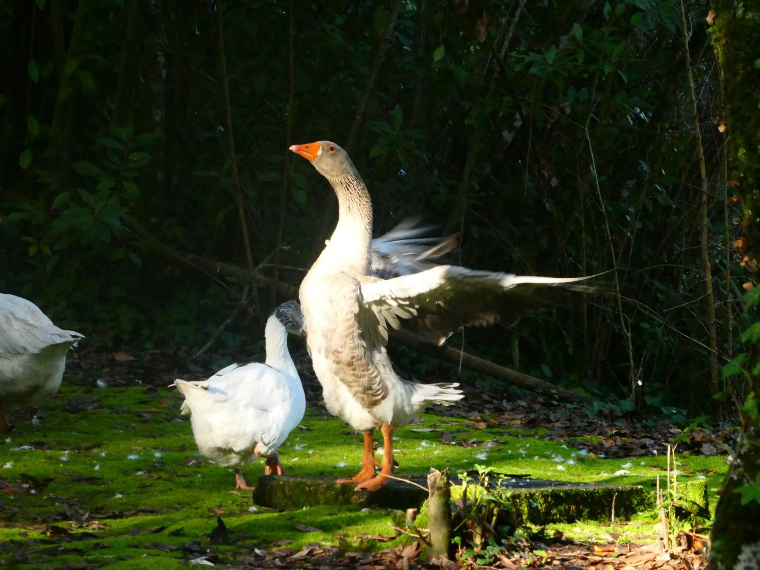 Landmark view in Hotel Termas da Curia